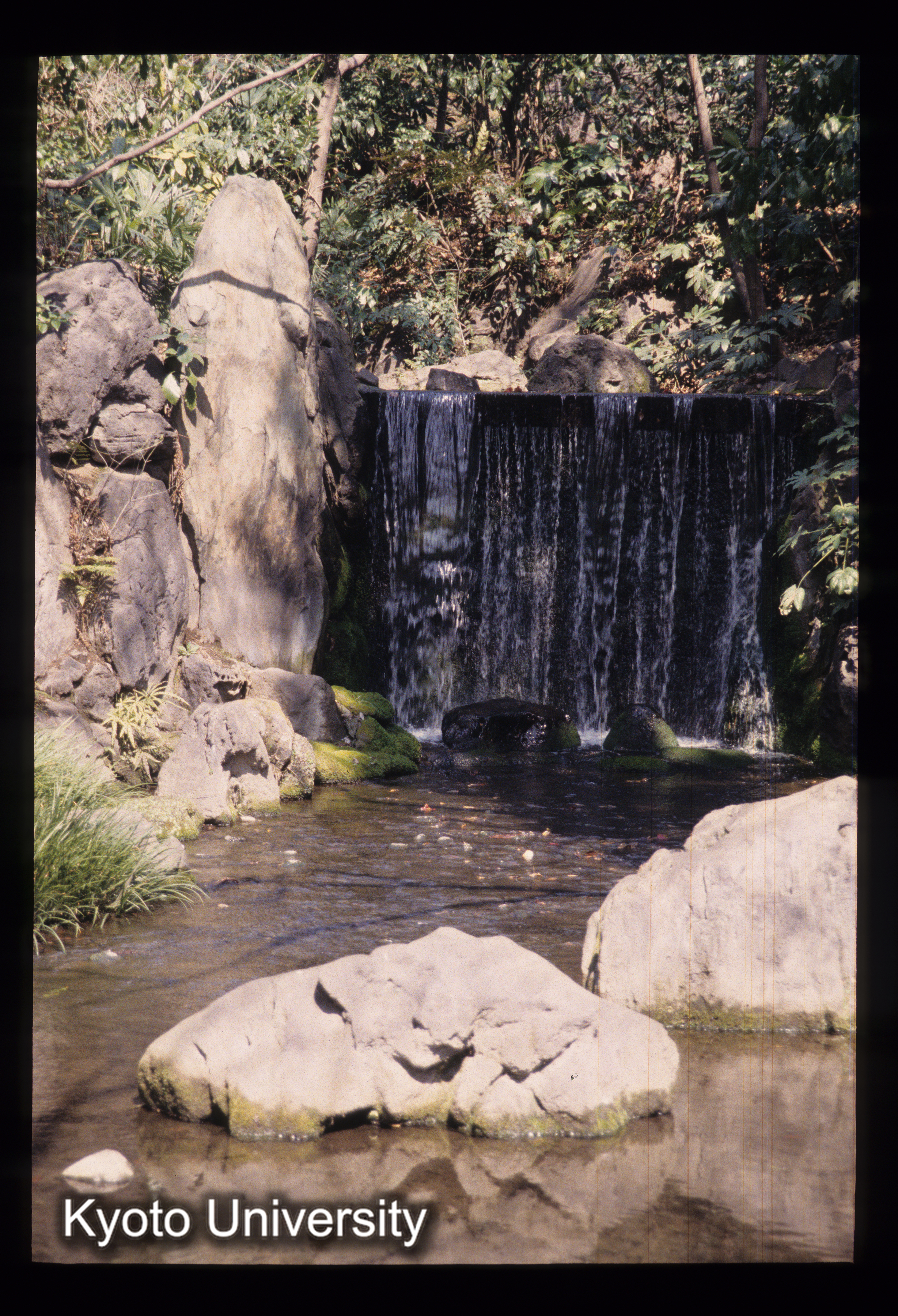 ［スライド］ (1)