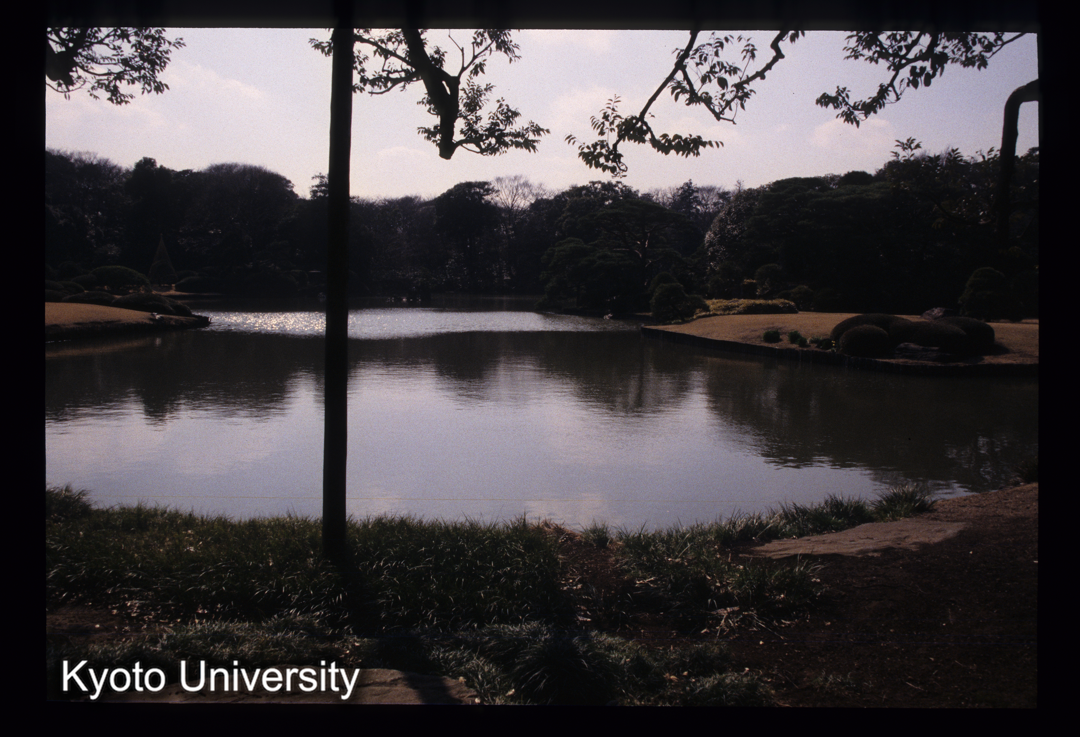 ［スライド］ (1)