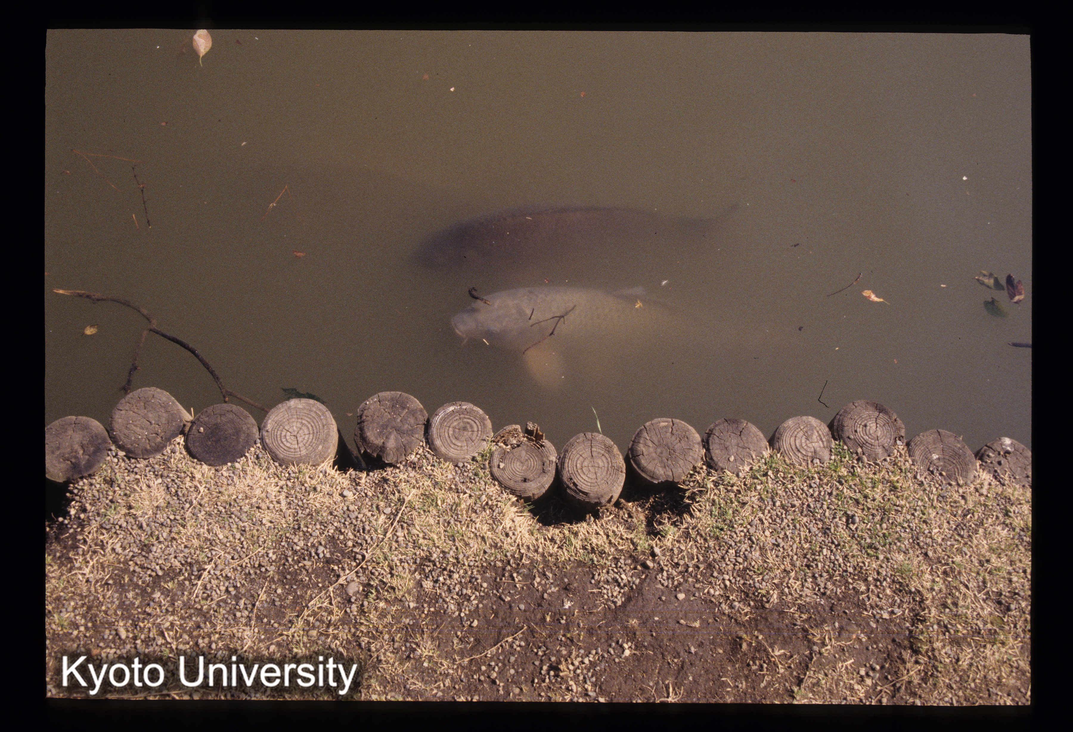 ［スライド］ (1)