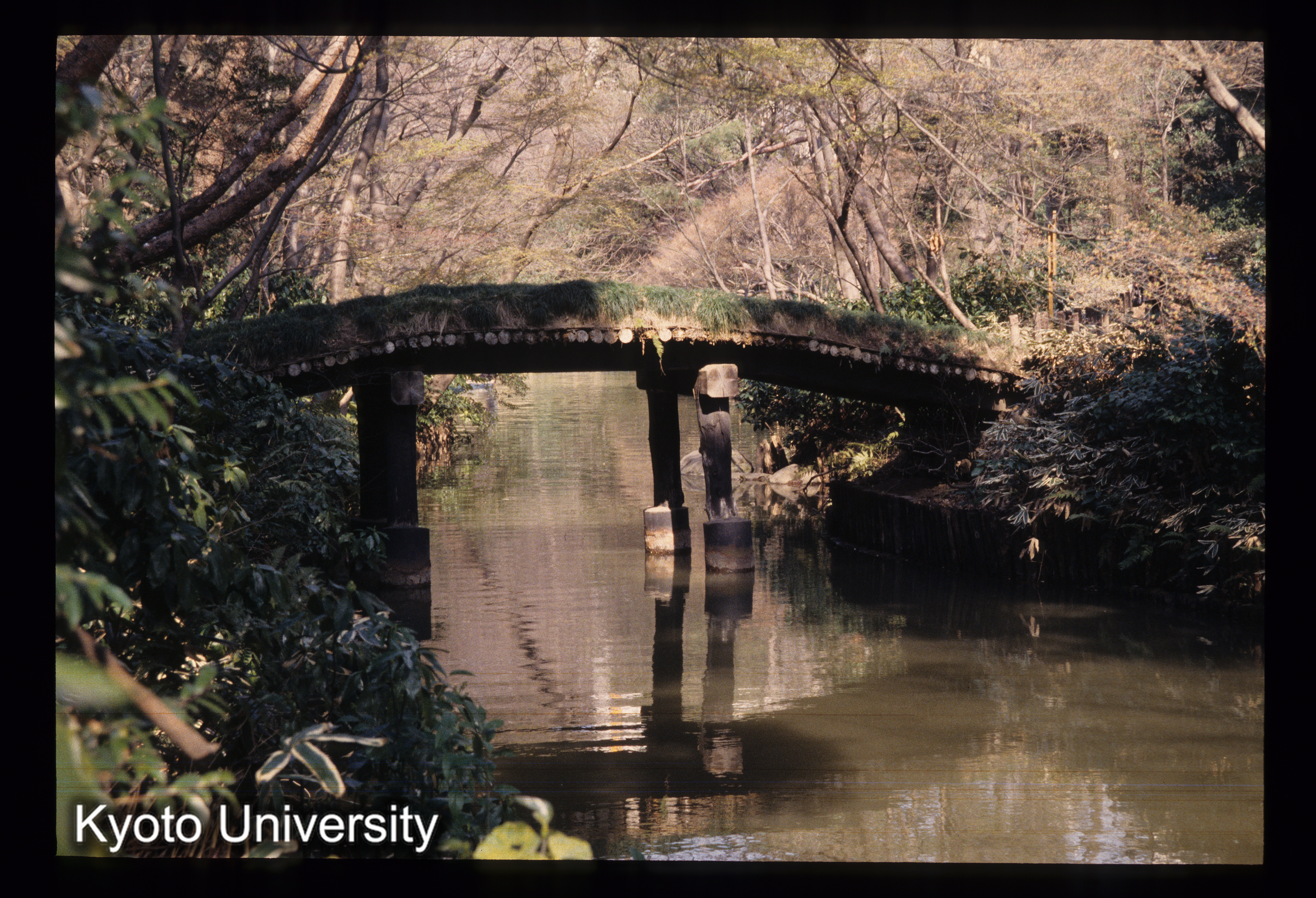 ［スライド］ (1)