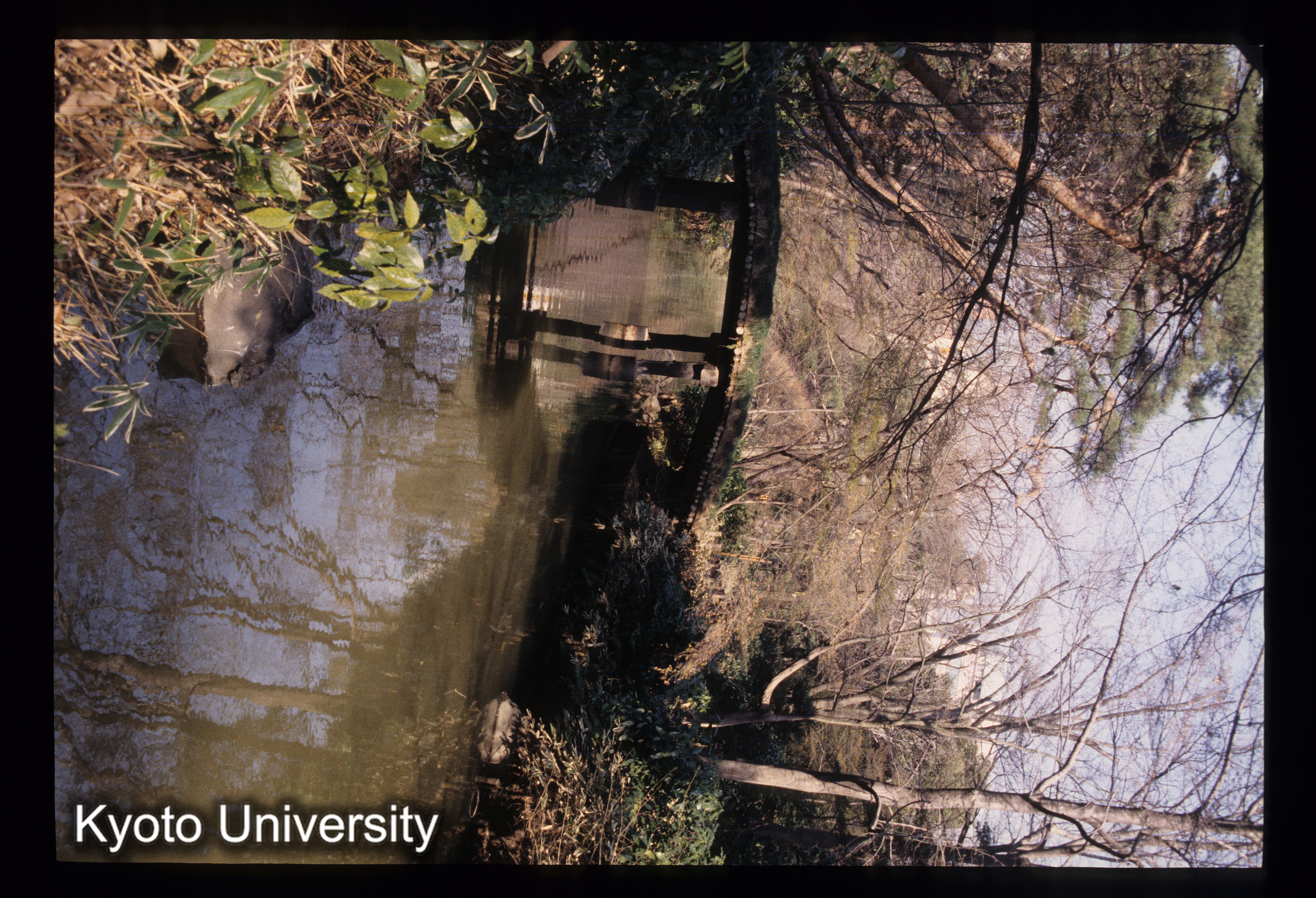 ［スライド］ (1)