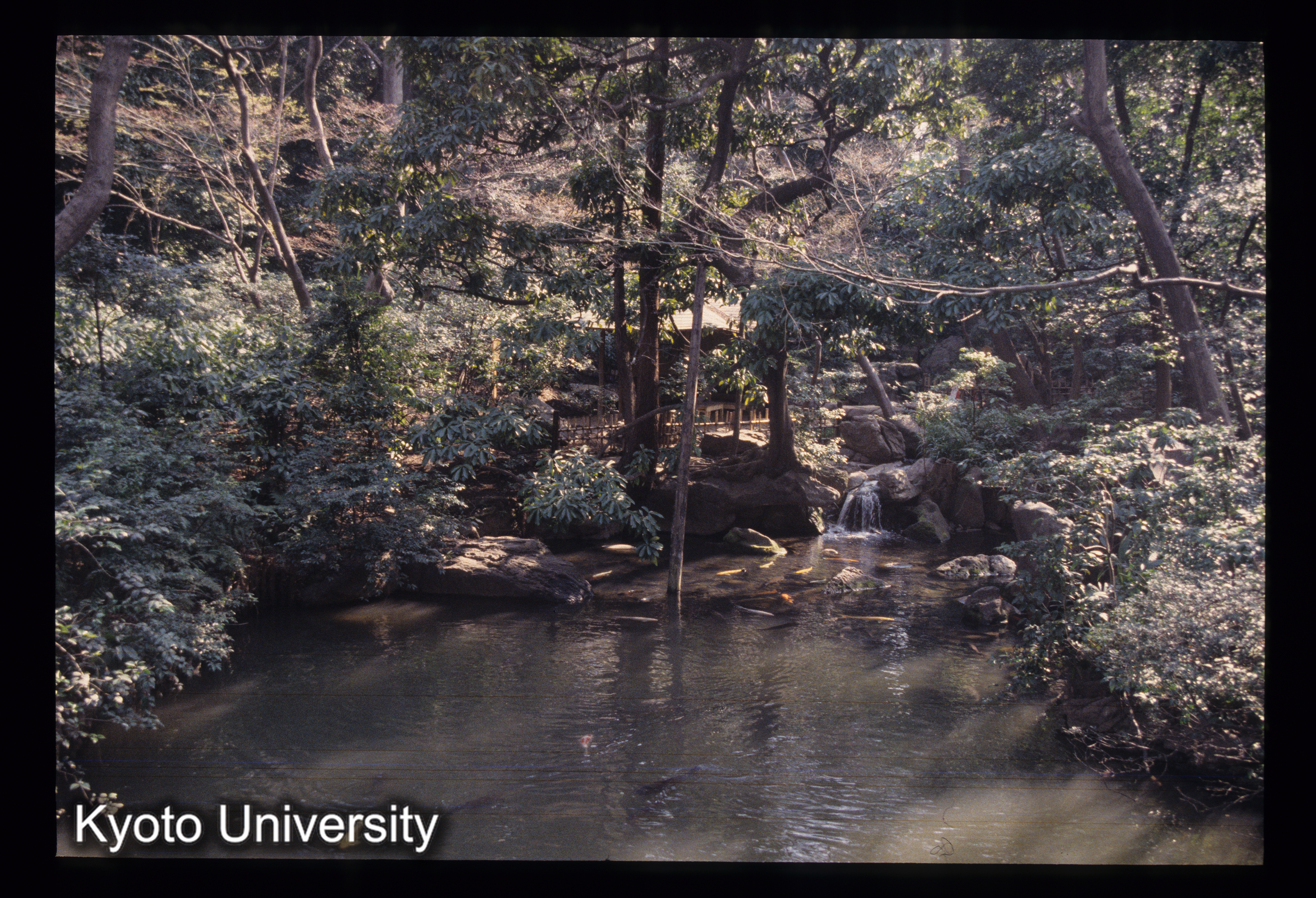 ［スライド］ (1)