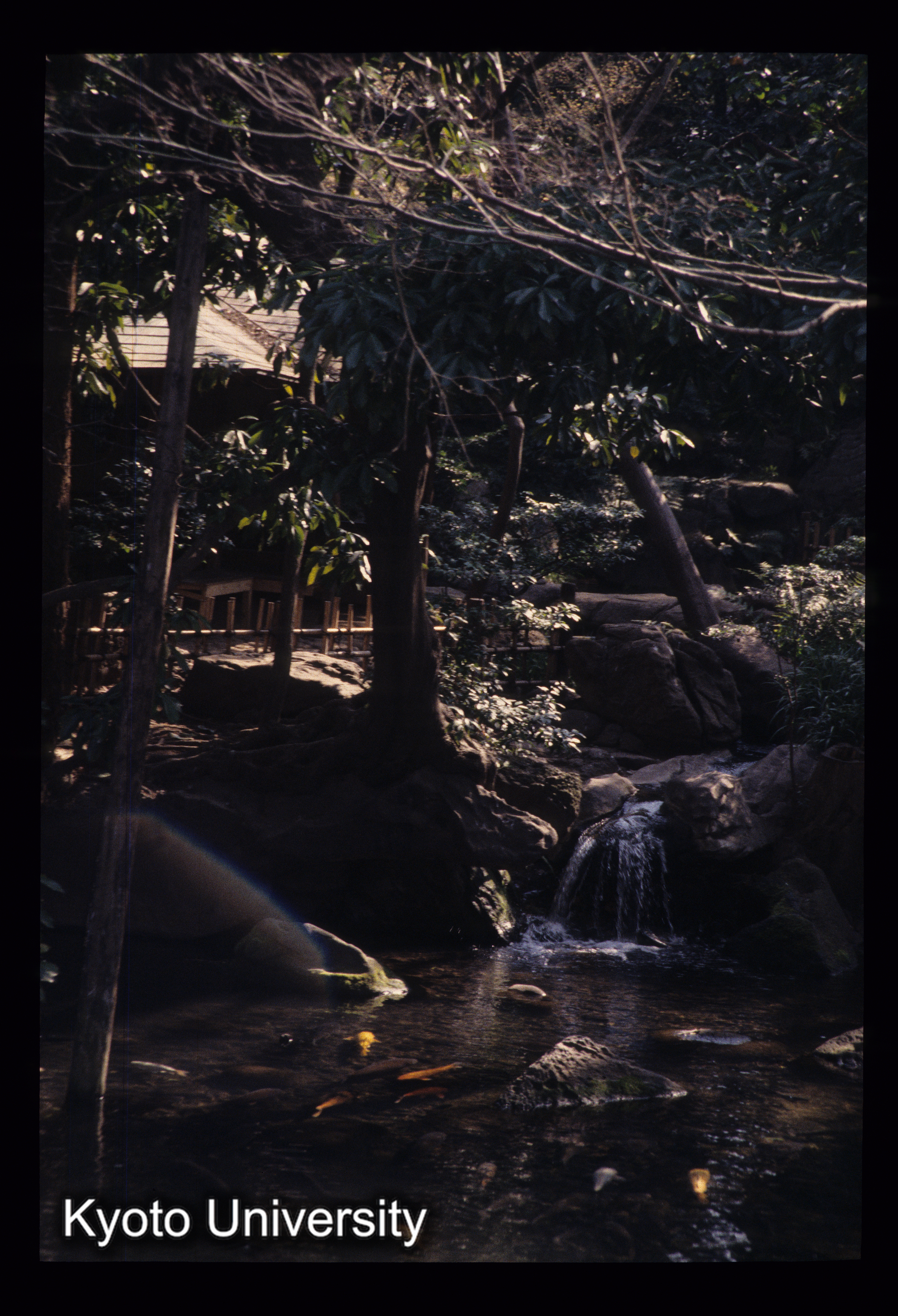 ［スライド］ (1)