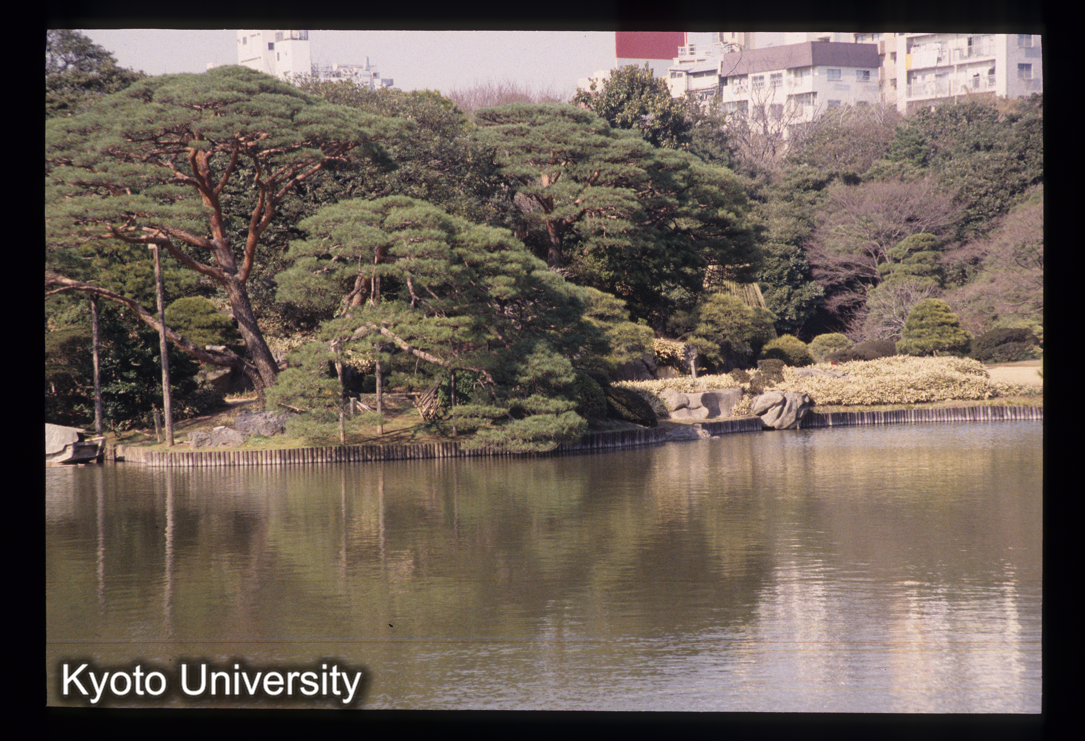 ［スライド］ (1)