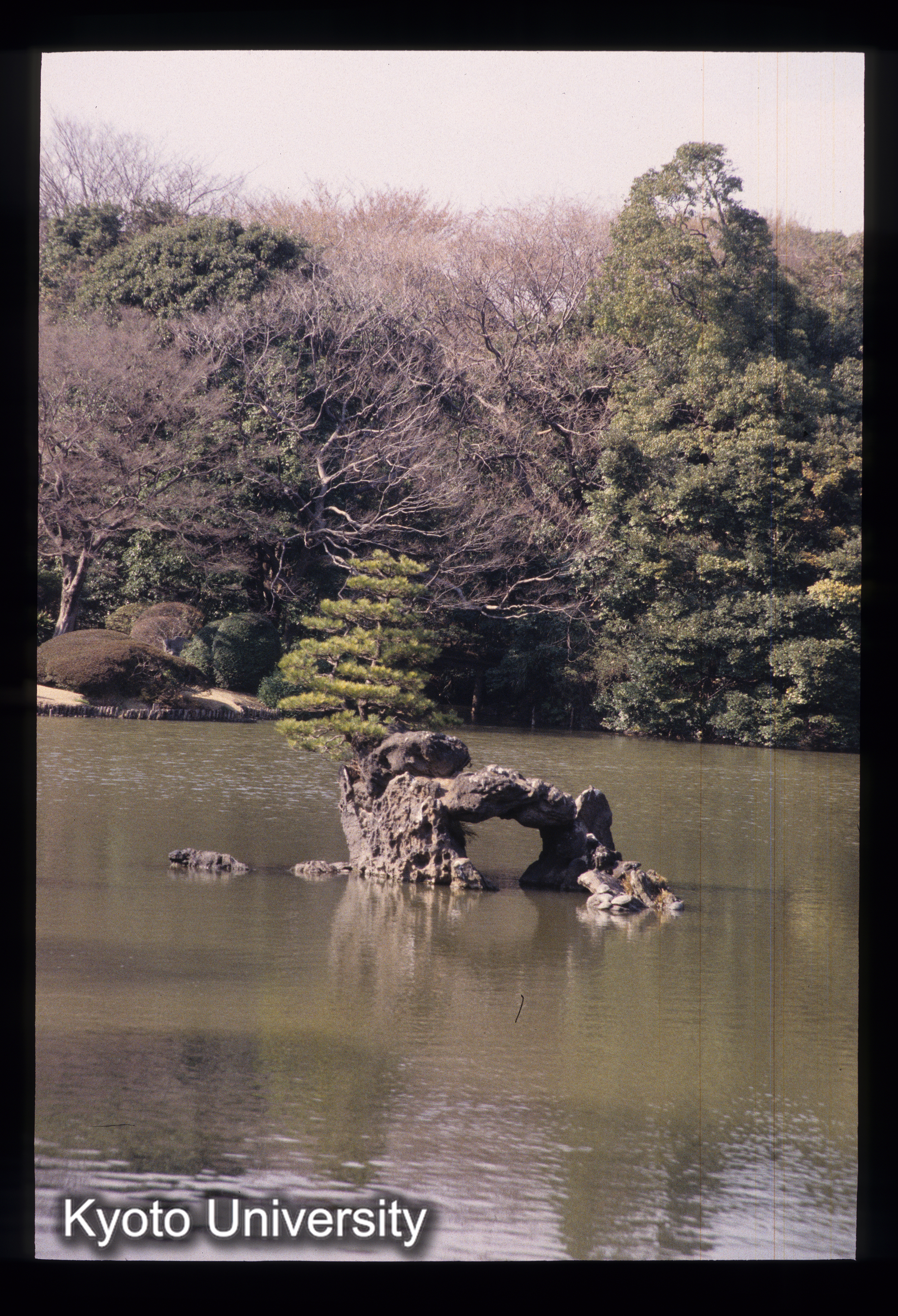 ［スライド］ (1)