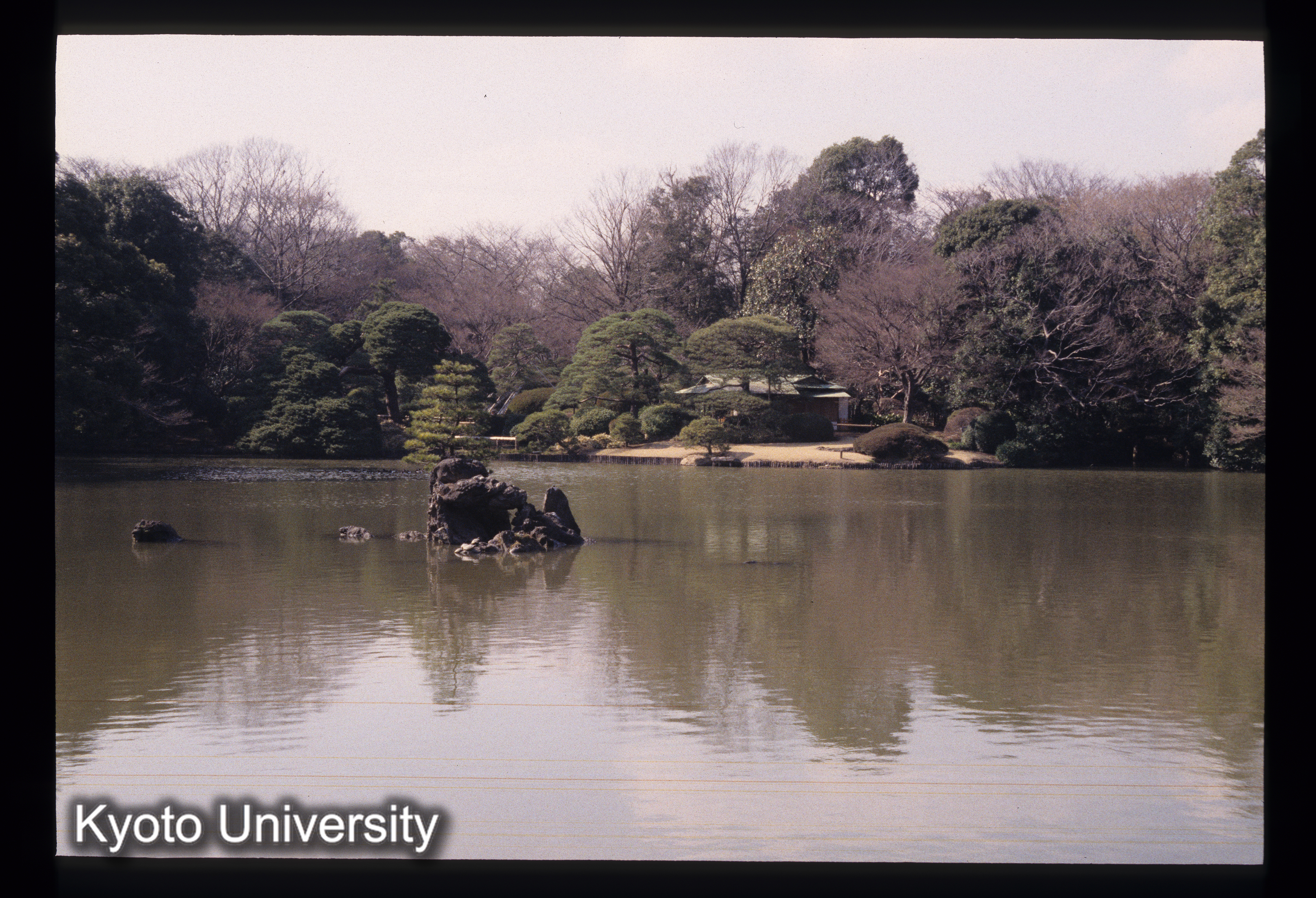 ［スライド］ (1)