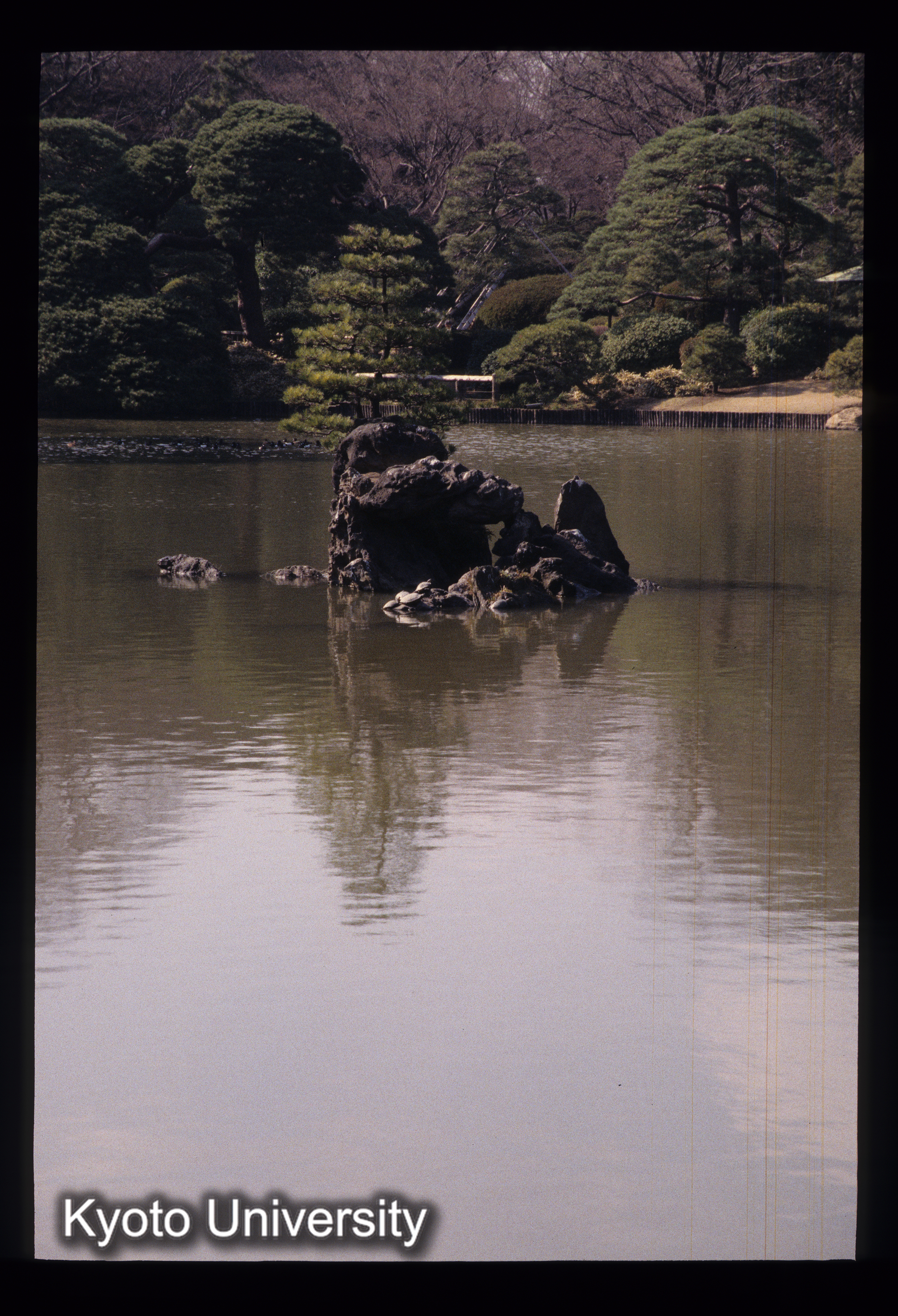 ［スライド］ (1)