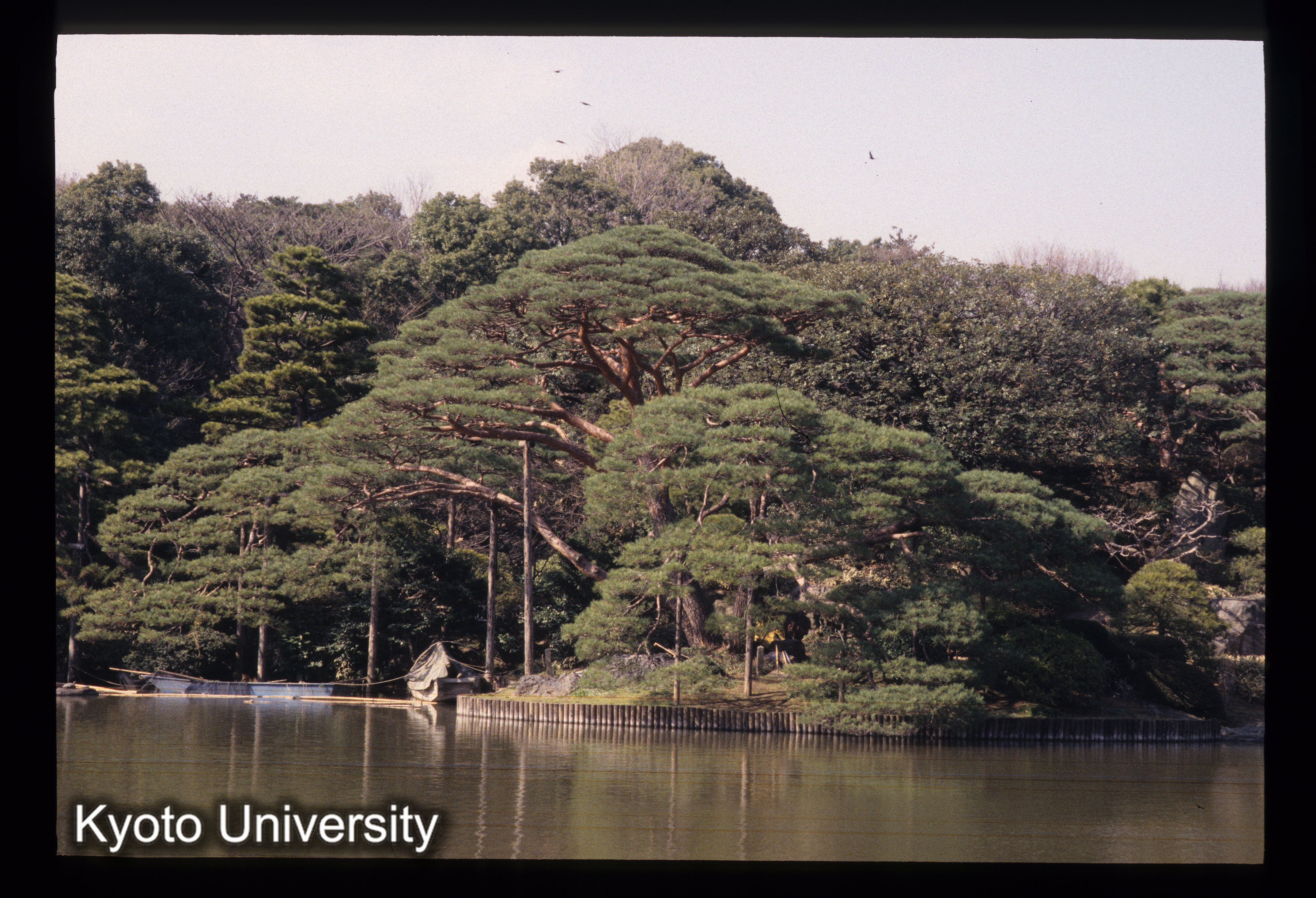 ［スライド］ (1)