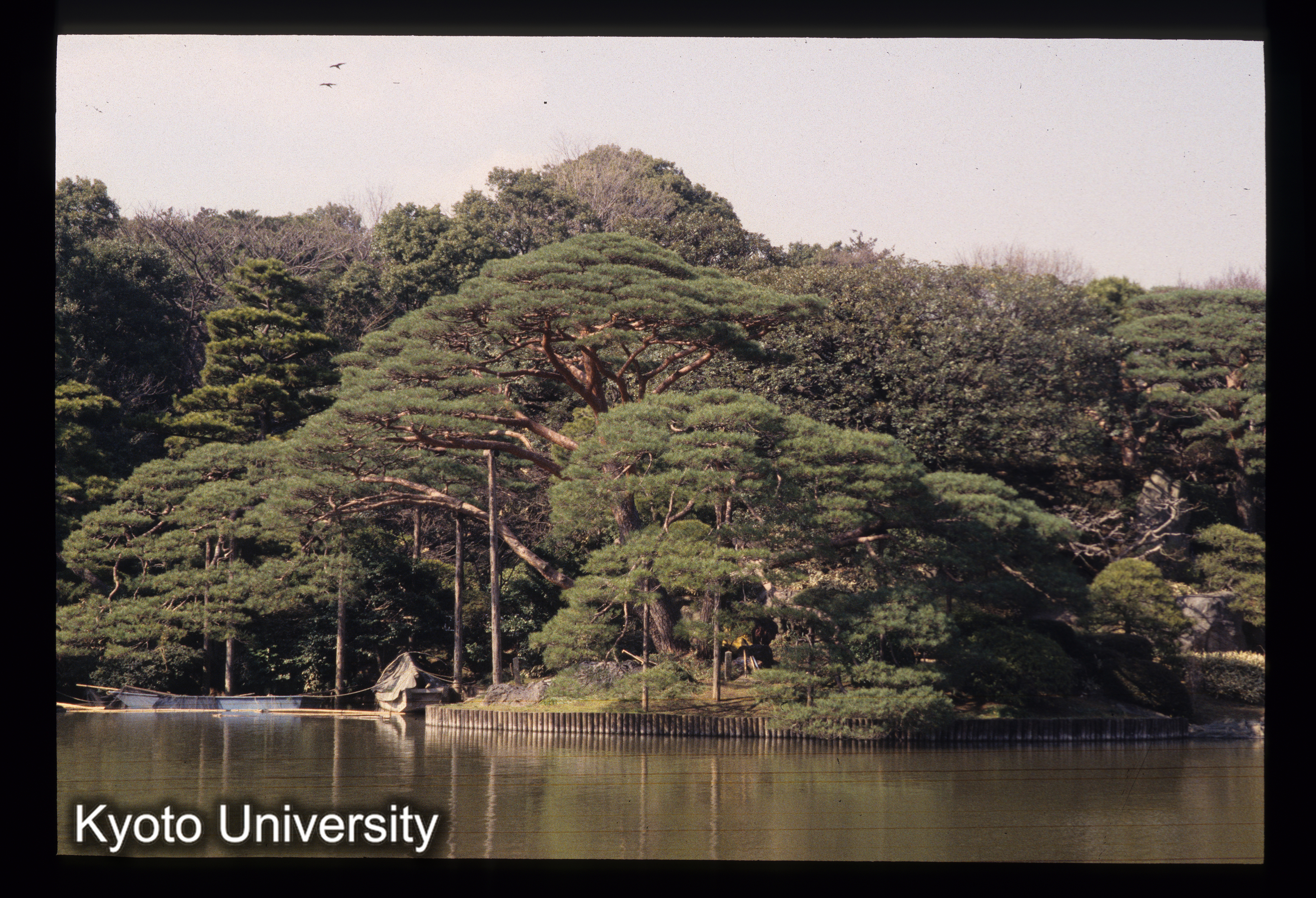 ［スライド］ (1)