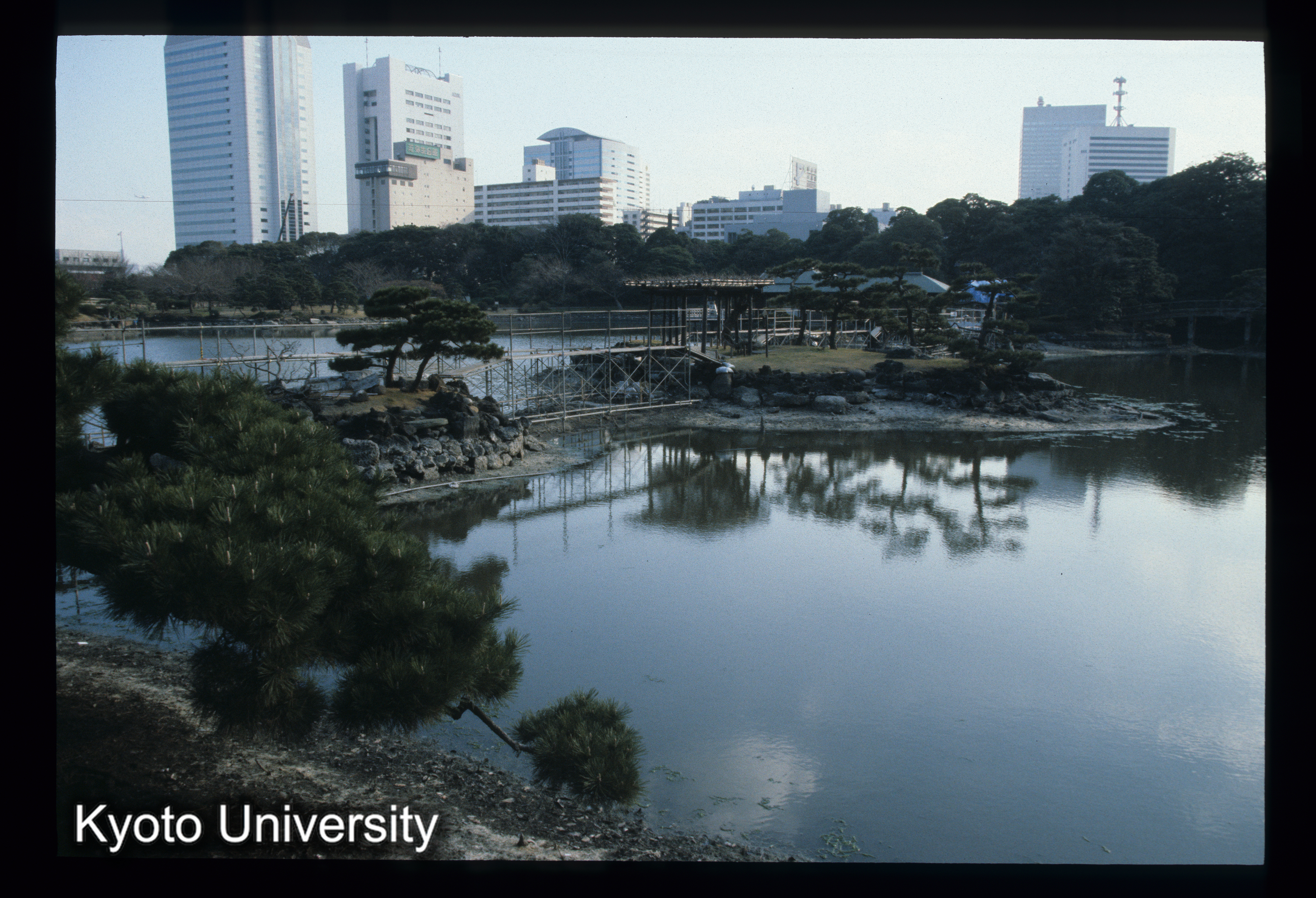 ［スライド］ (1)