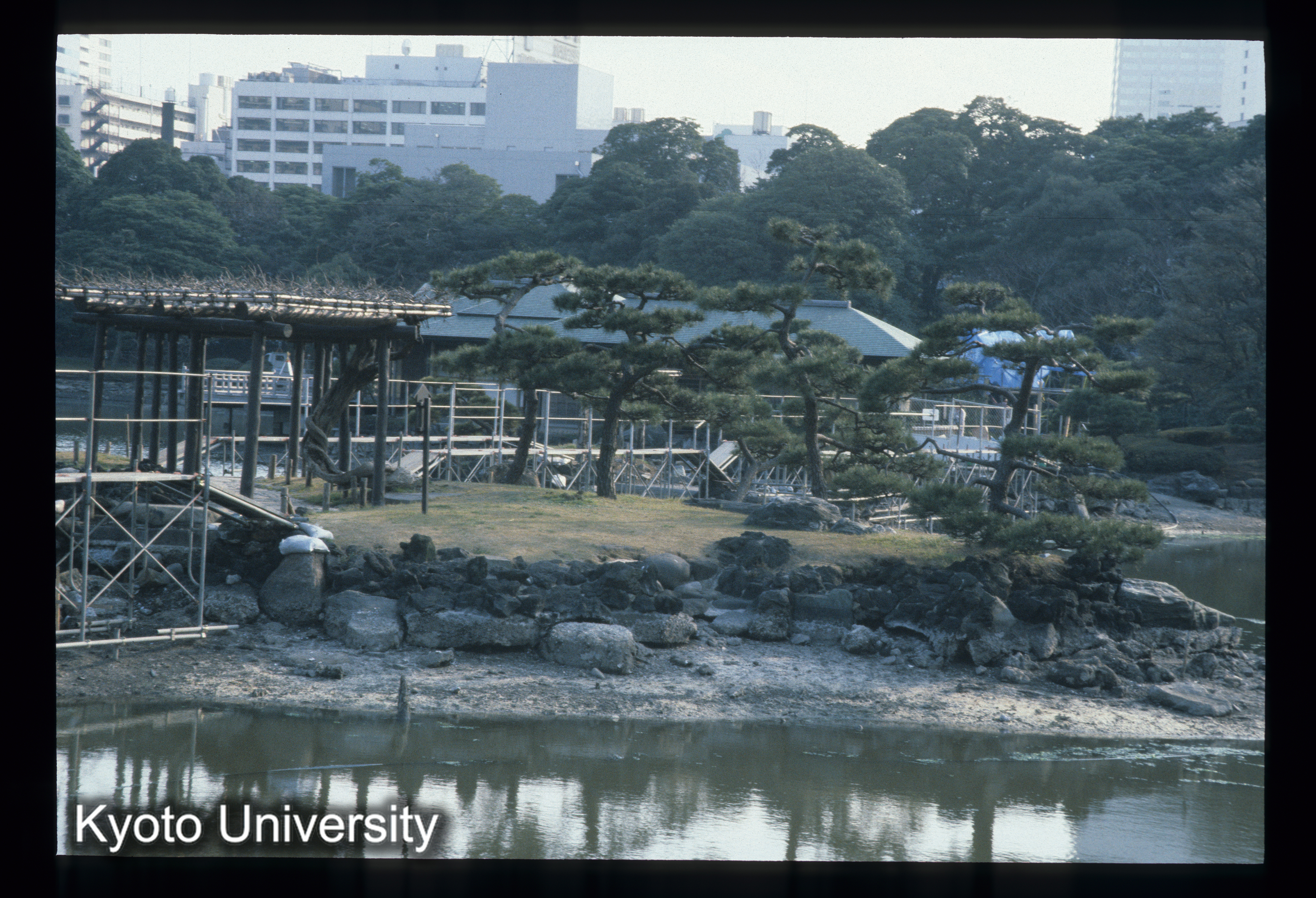 ［スライド］ (1)