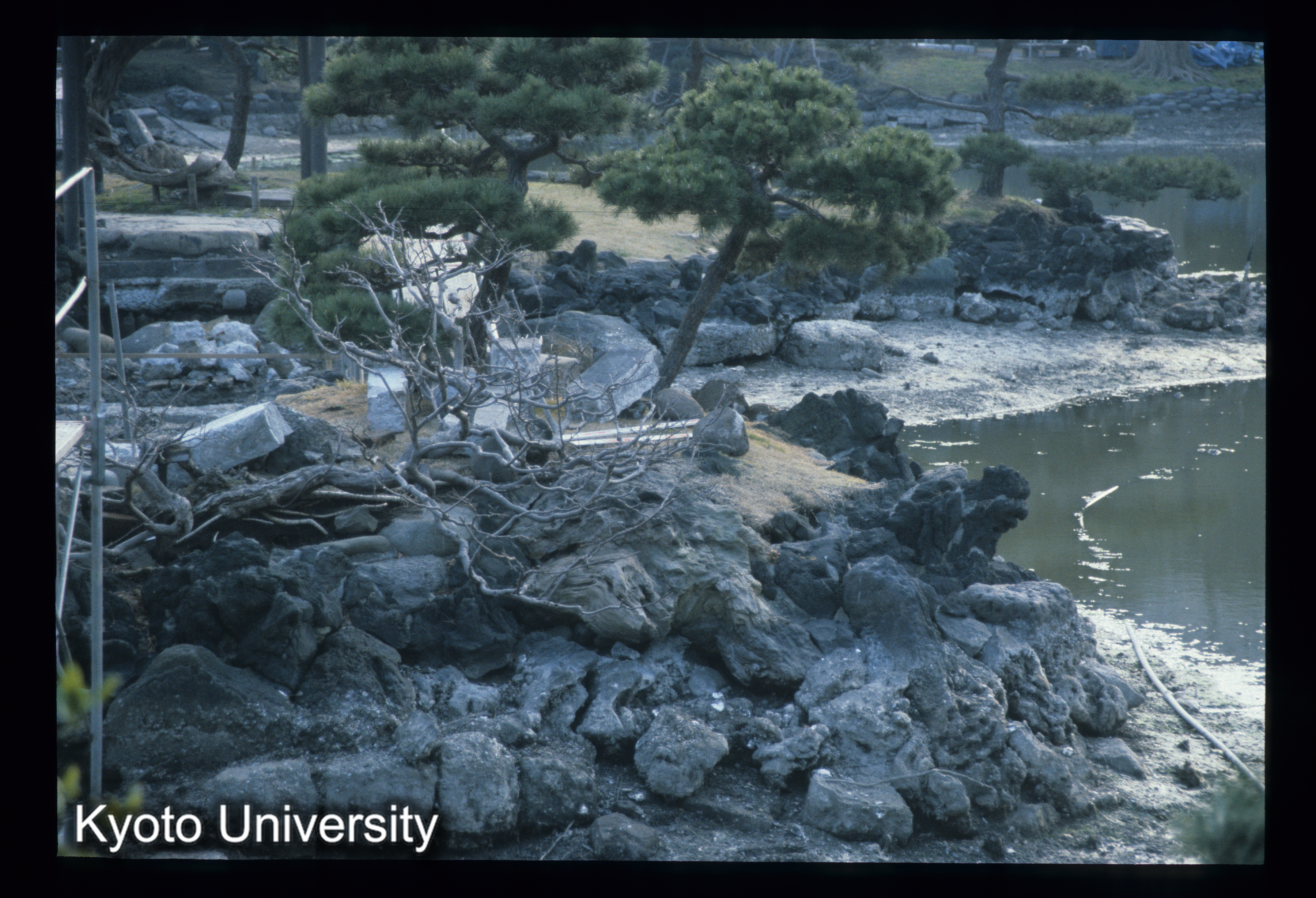 ［スライド］ (1)