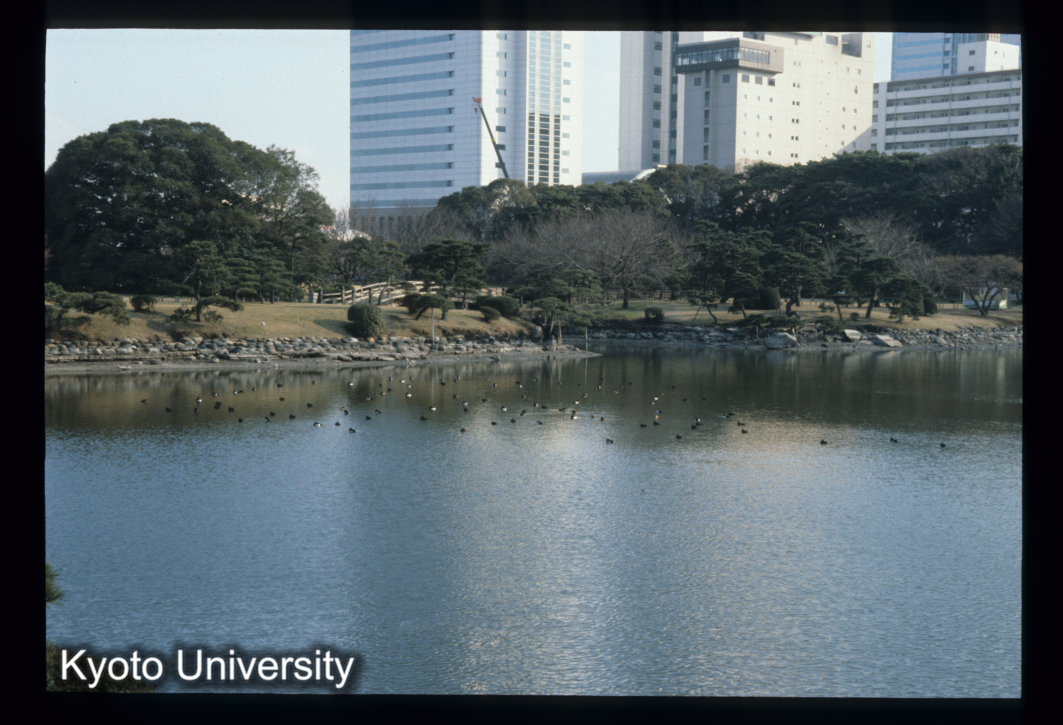 ［スライド］ (1)