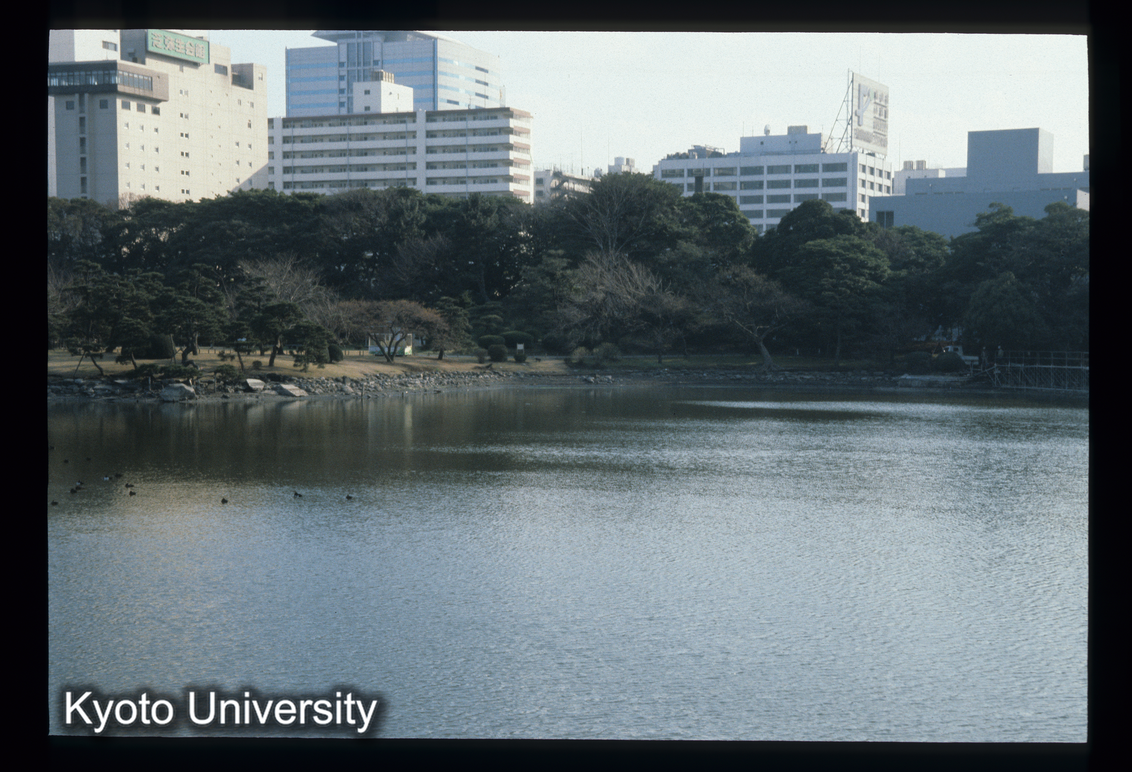 ［スライド］ (1)