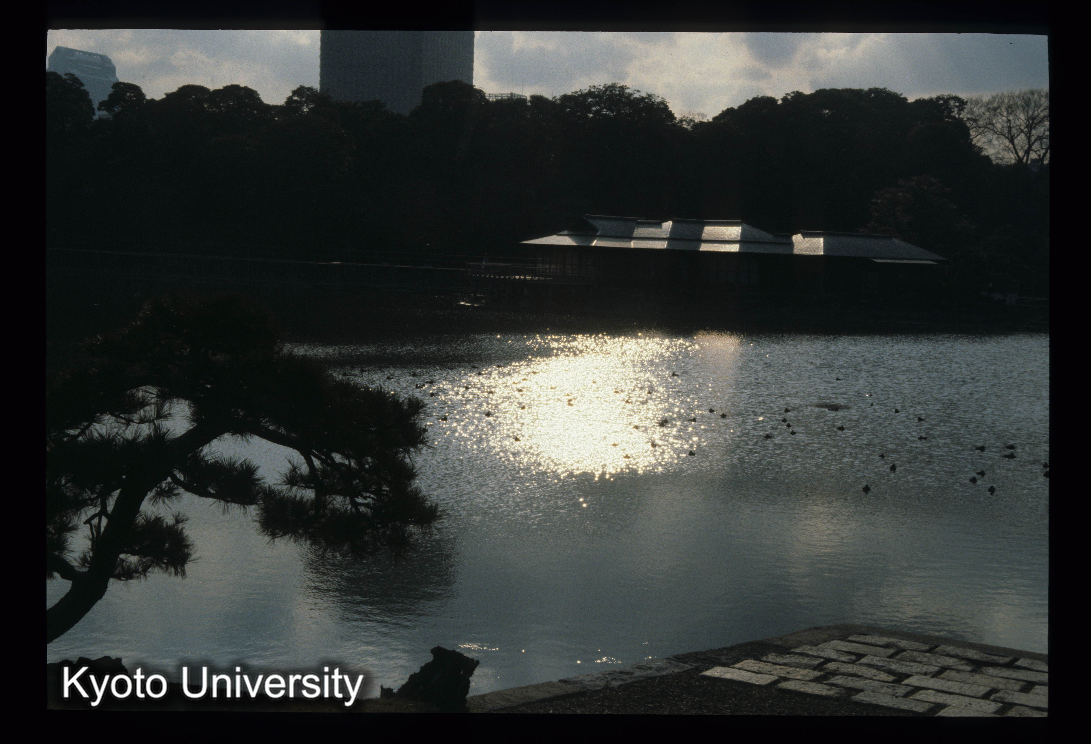 ［スライド］ (1)