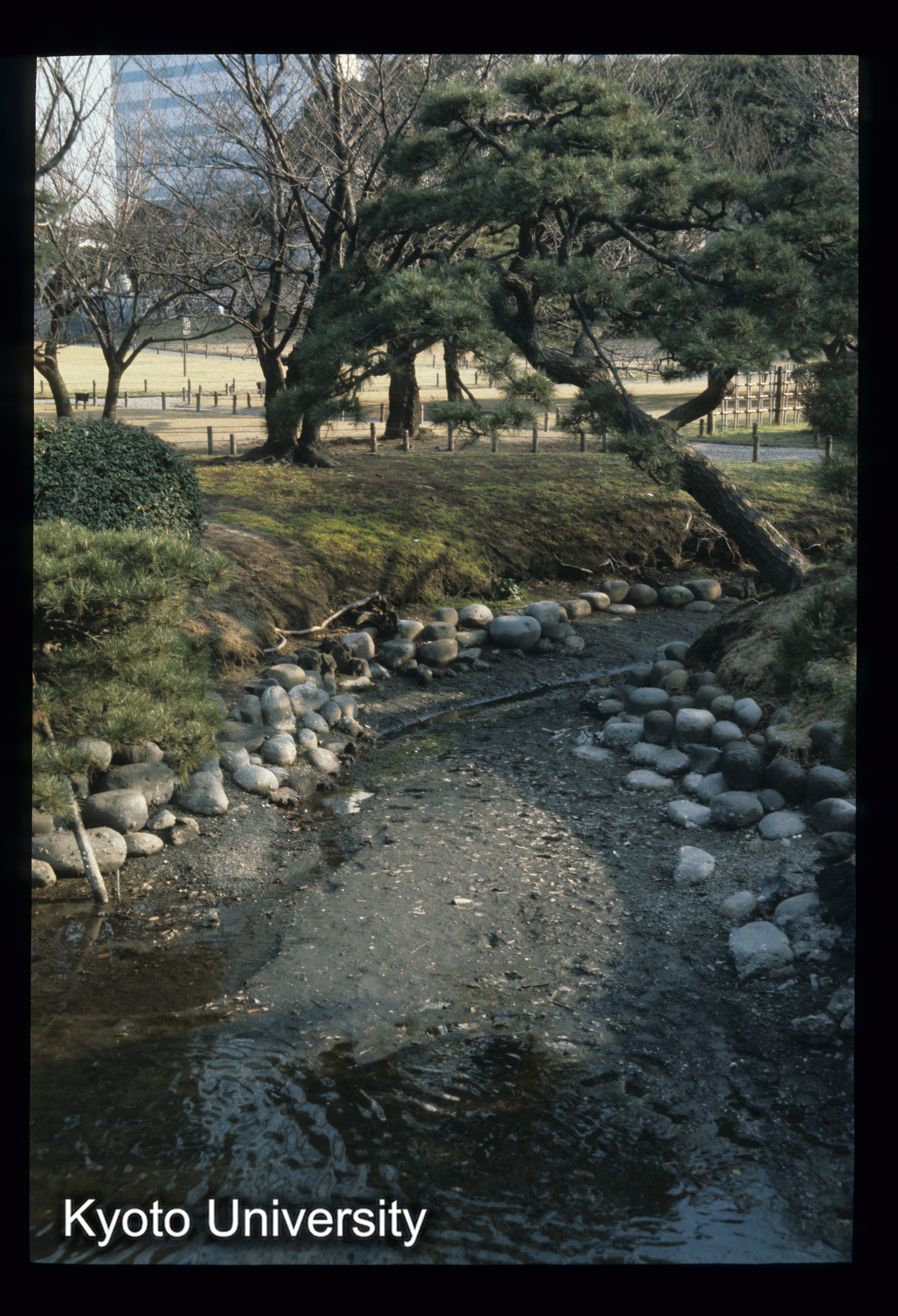 ［スライド］ (1)