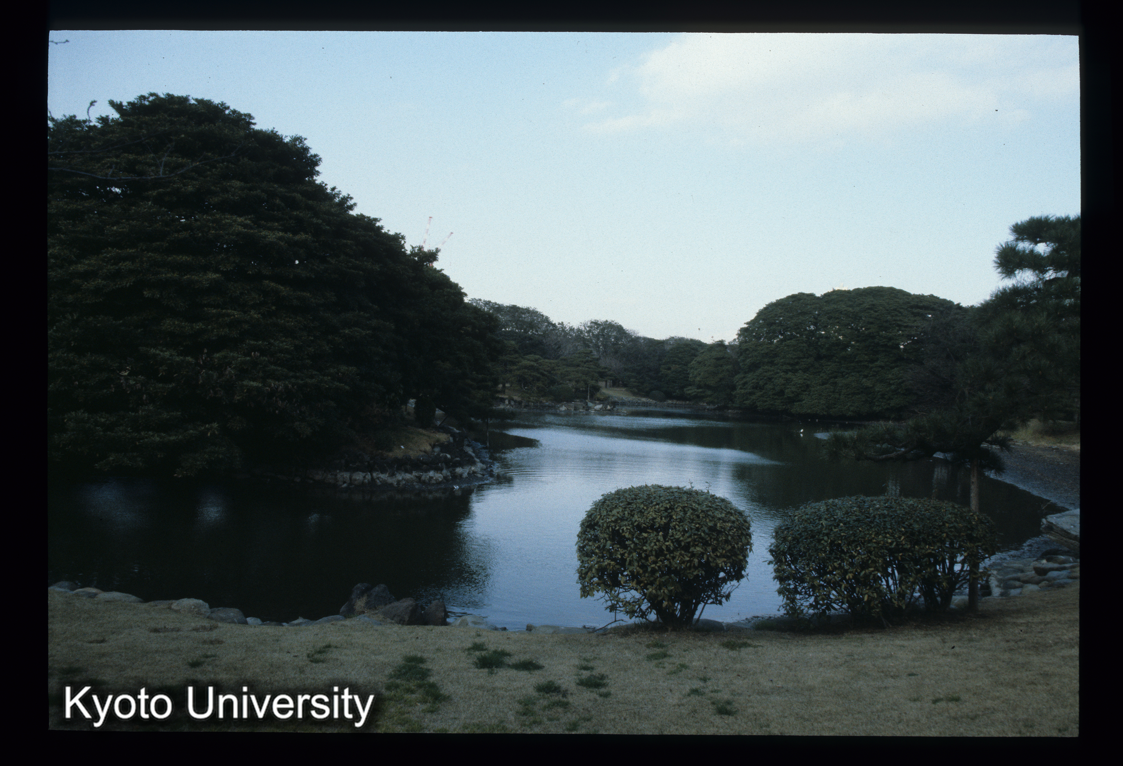 ［スライド］ (1)