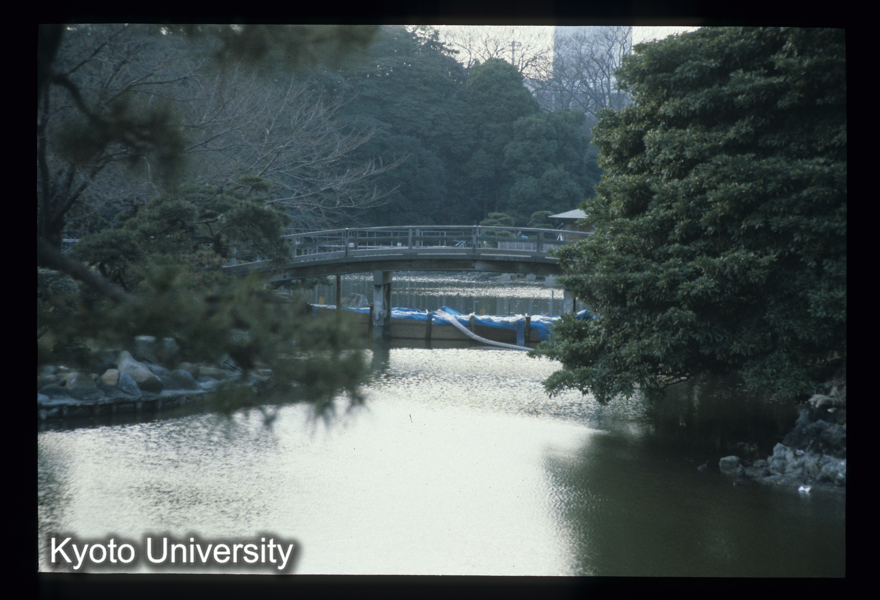 ［スライド］ (1)