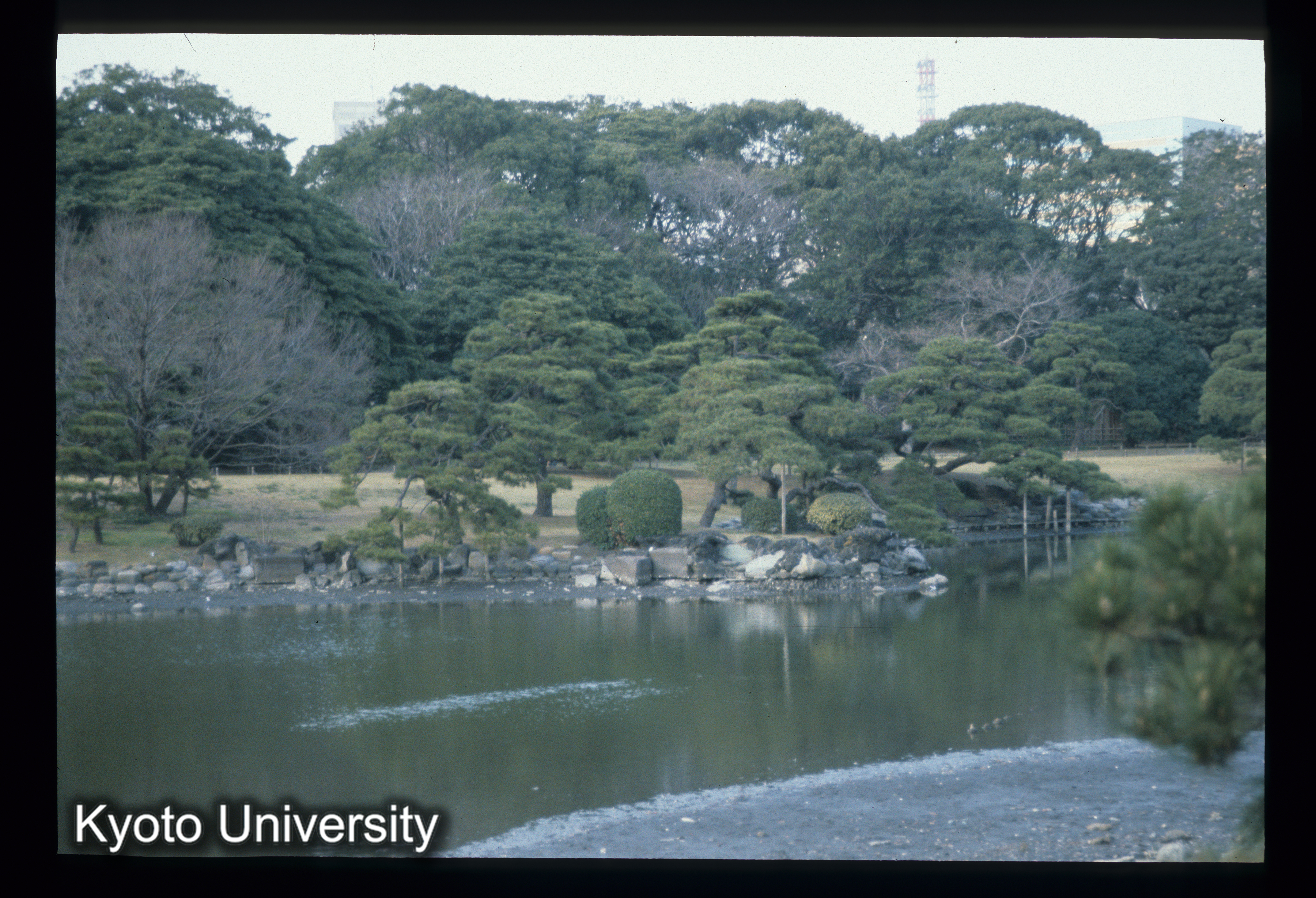 ［スライド］ (1)