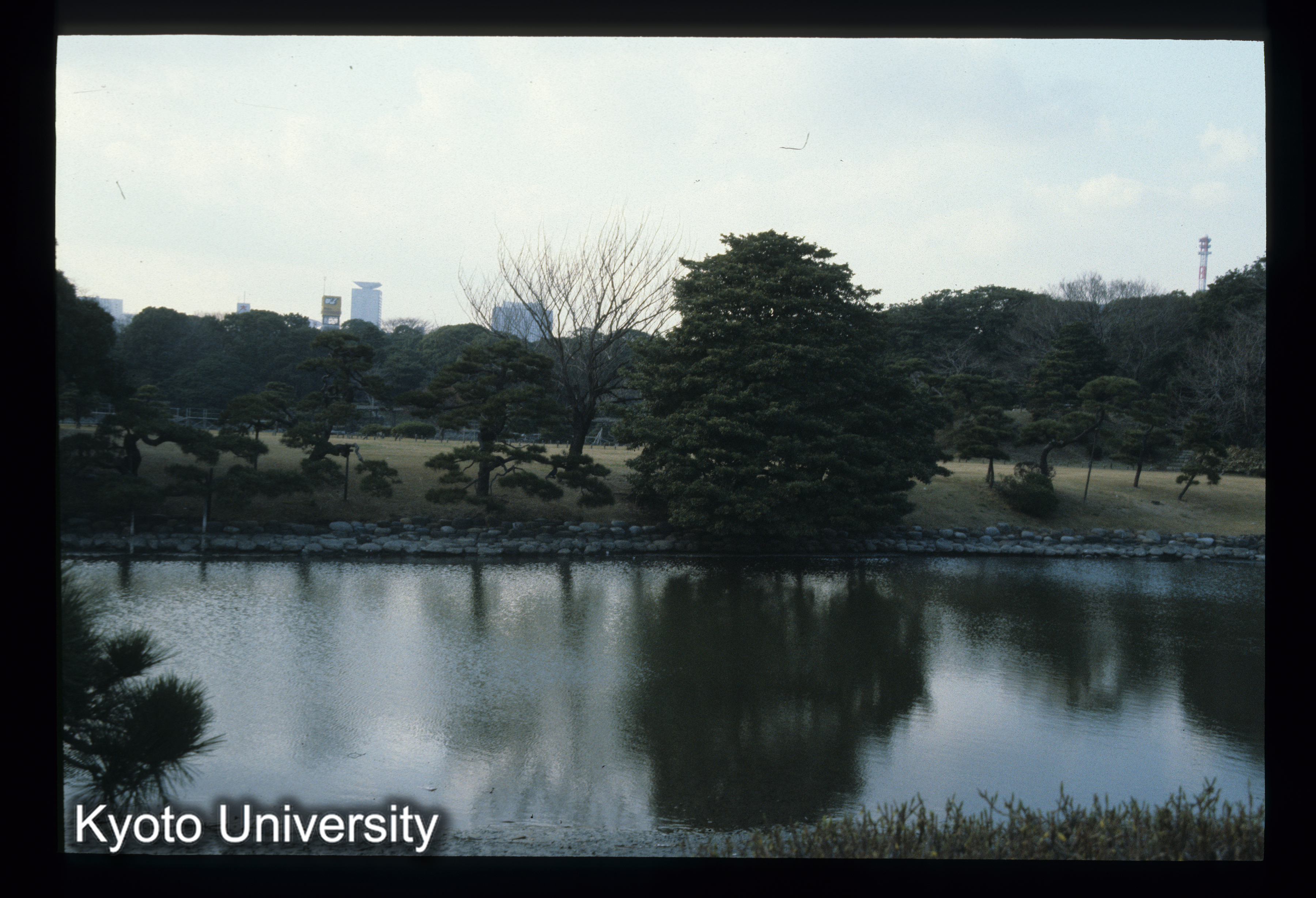 ［スライド］ (1)