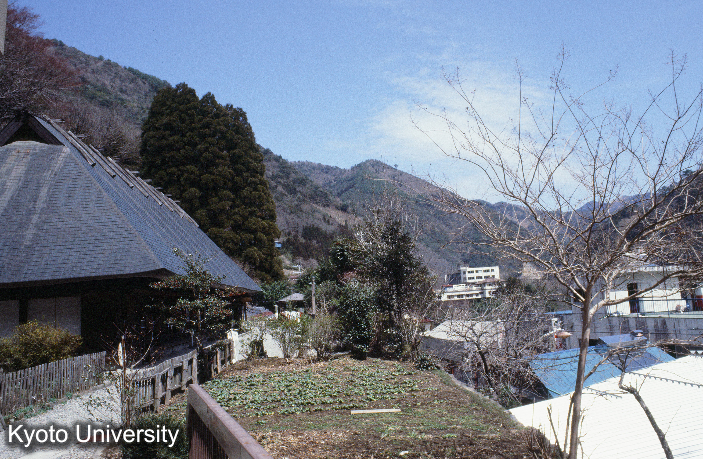 ［スライド］ (1)