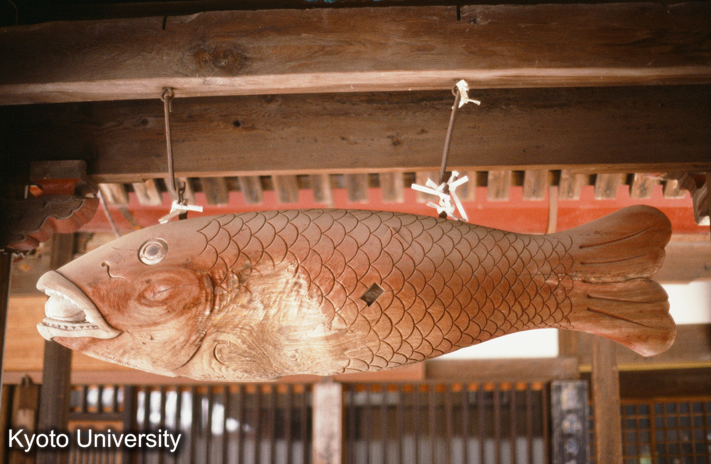 ［スライド］ (1)