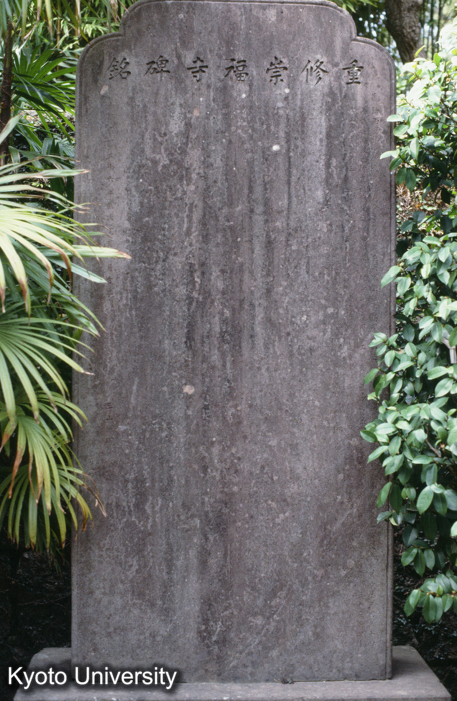 ［スライド］ (1)