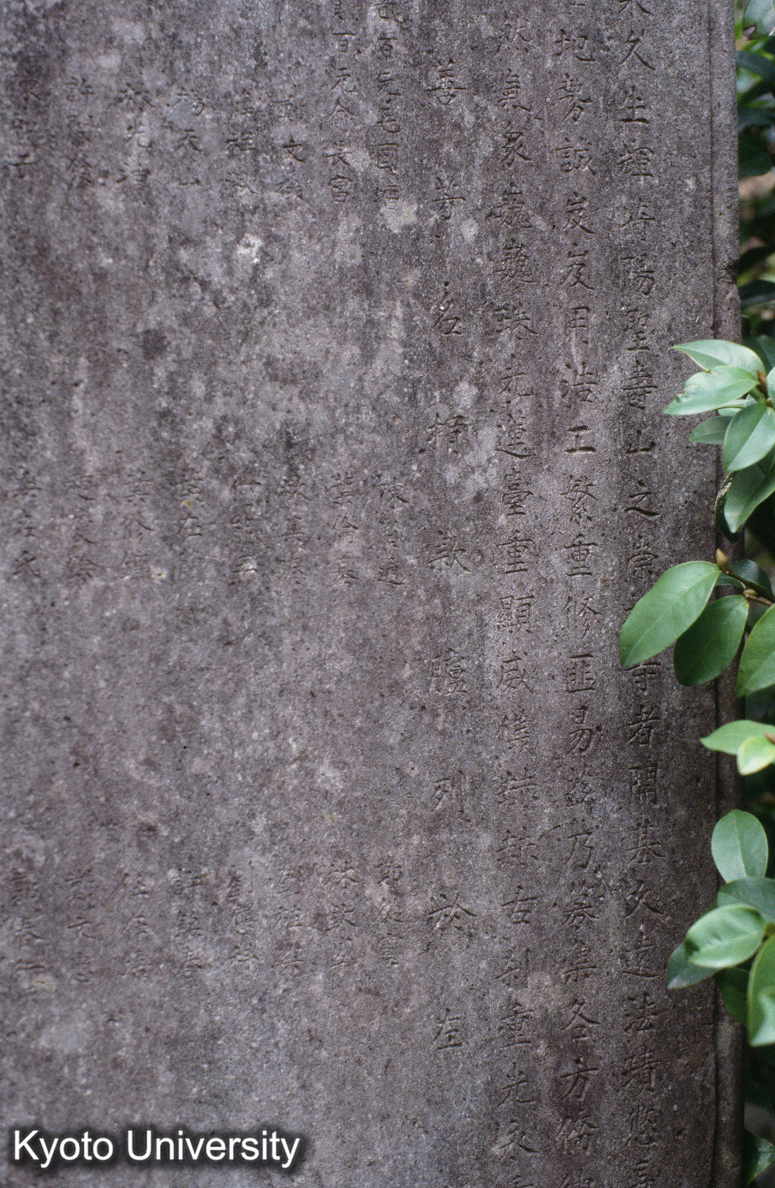 ［スライド］ (1)