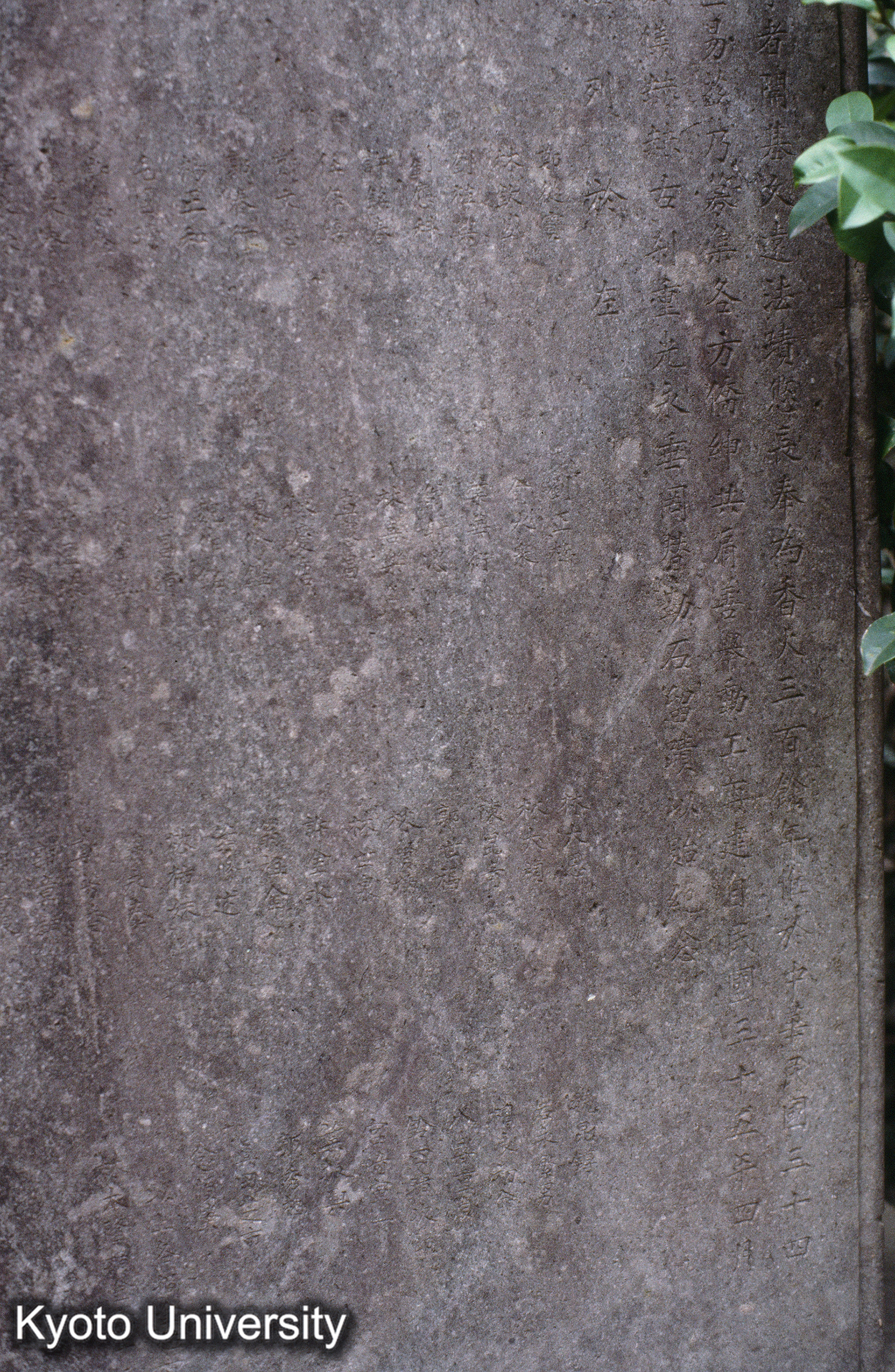 ［スライド］ (1)