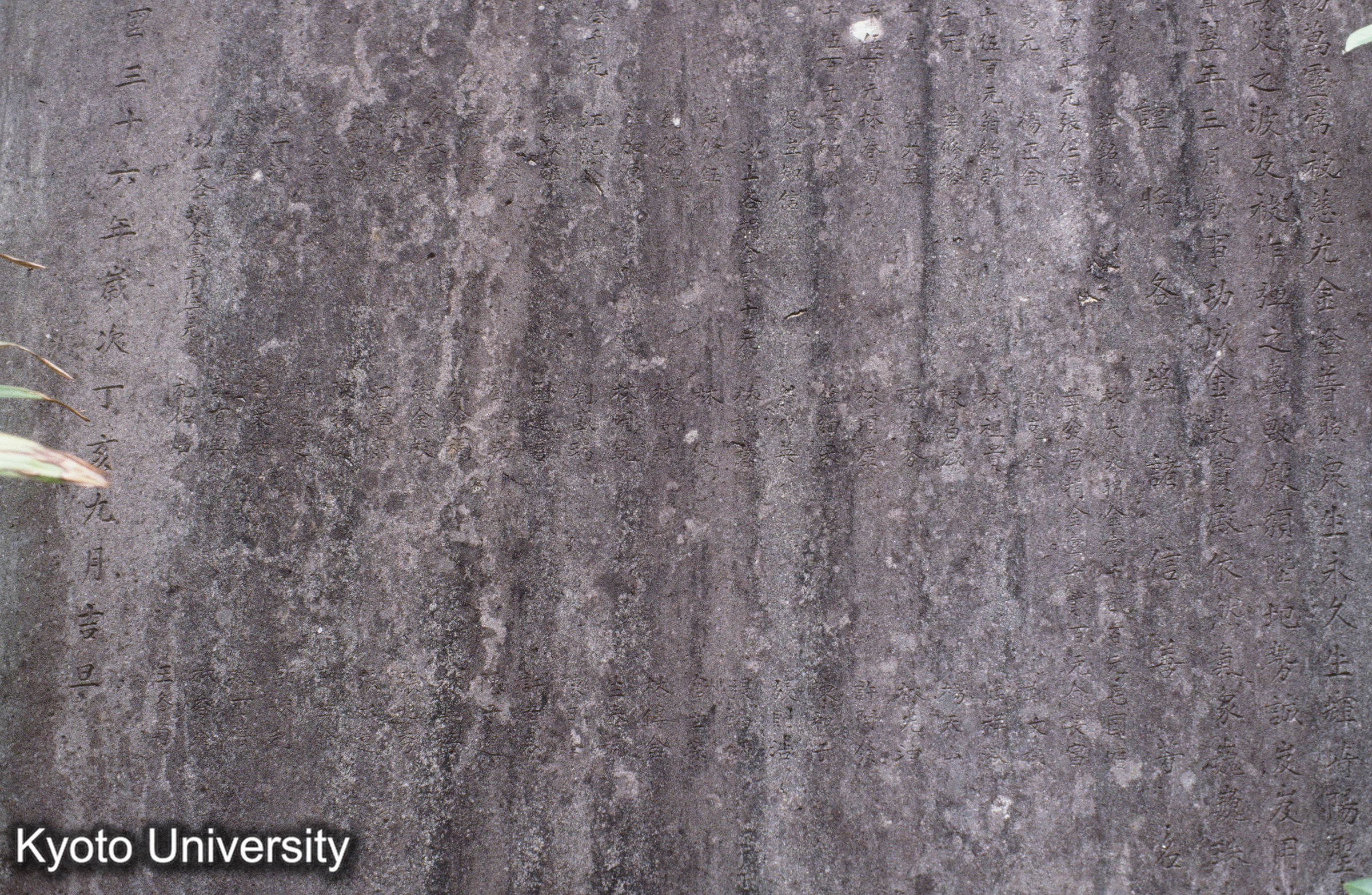 ［スライド］ (1)