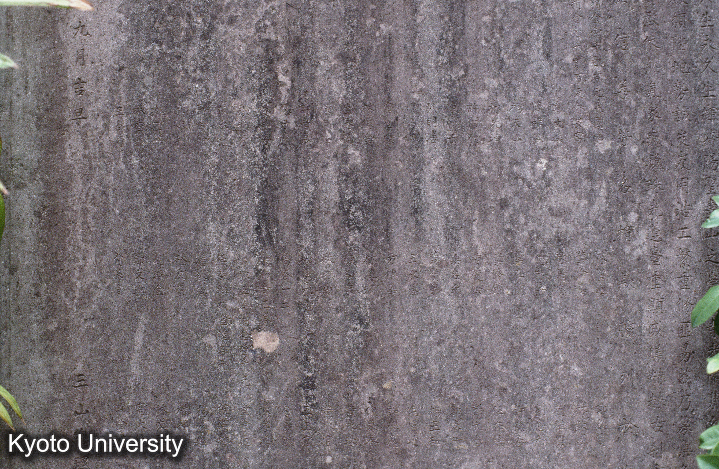 ［スライド］ (1)