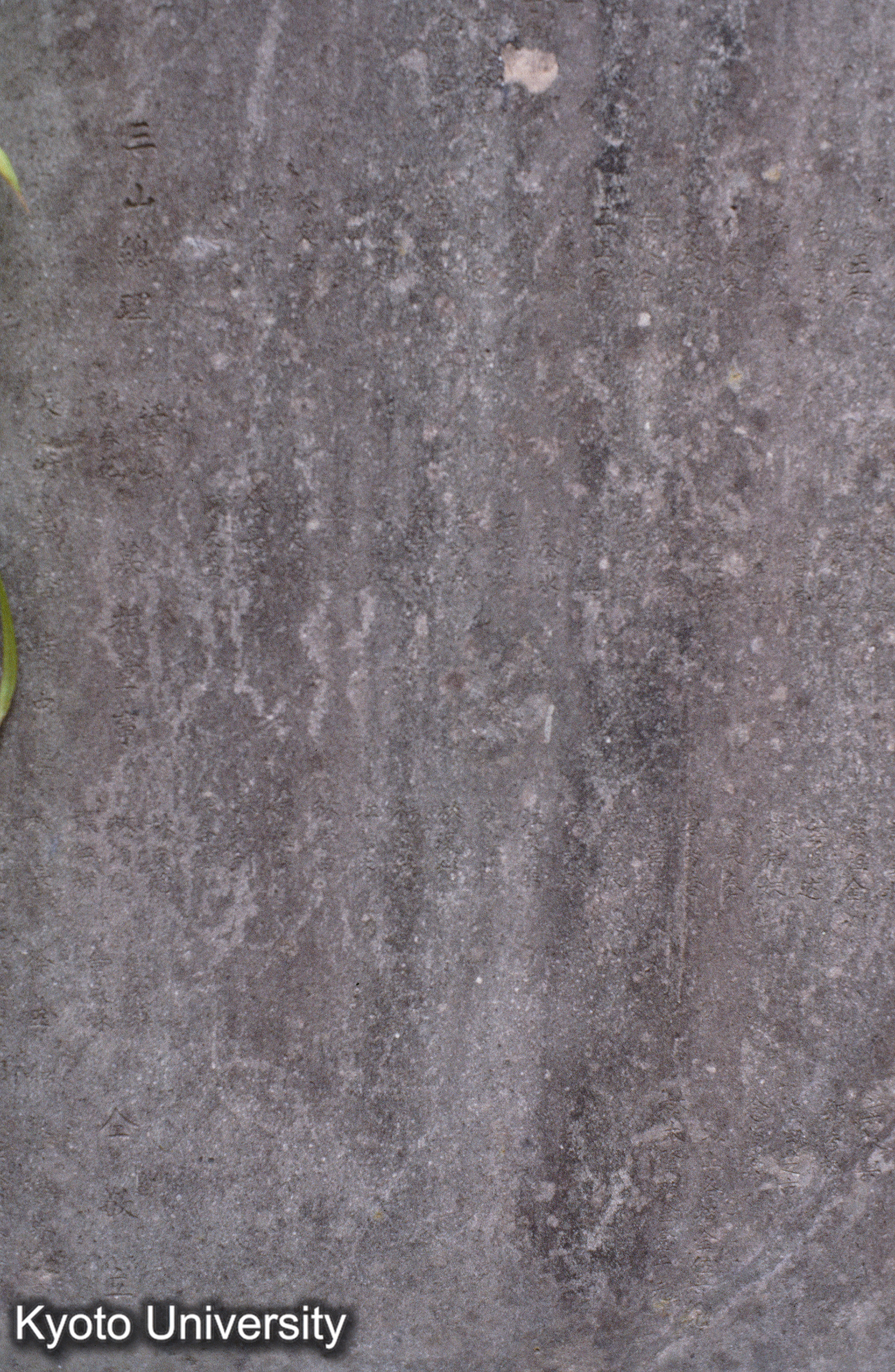 ［スライド］ (1)