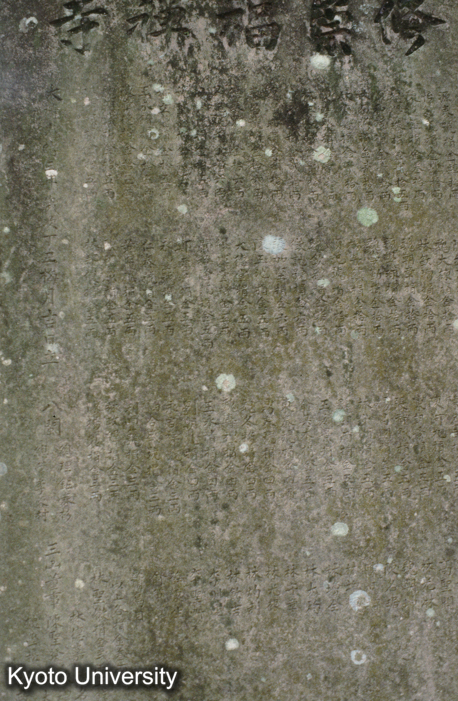 ［スライド］ (1)