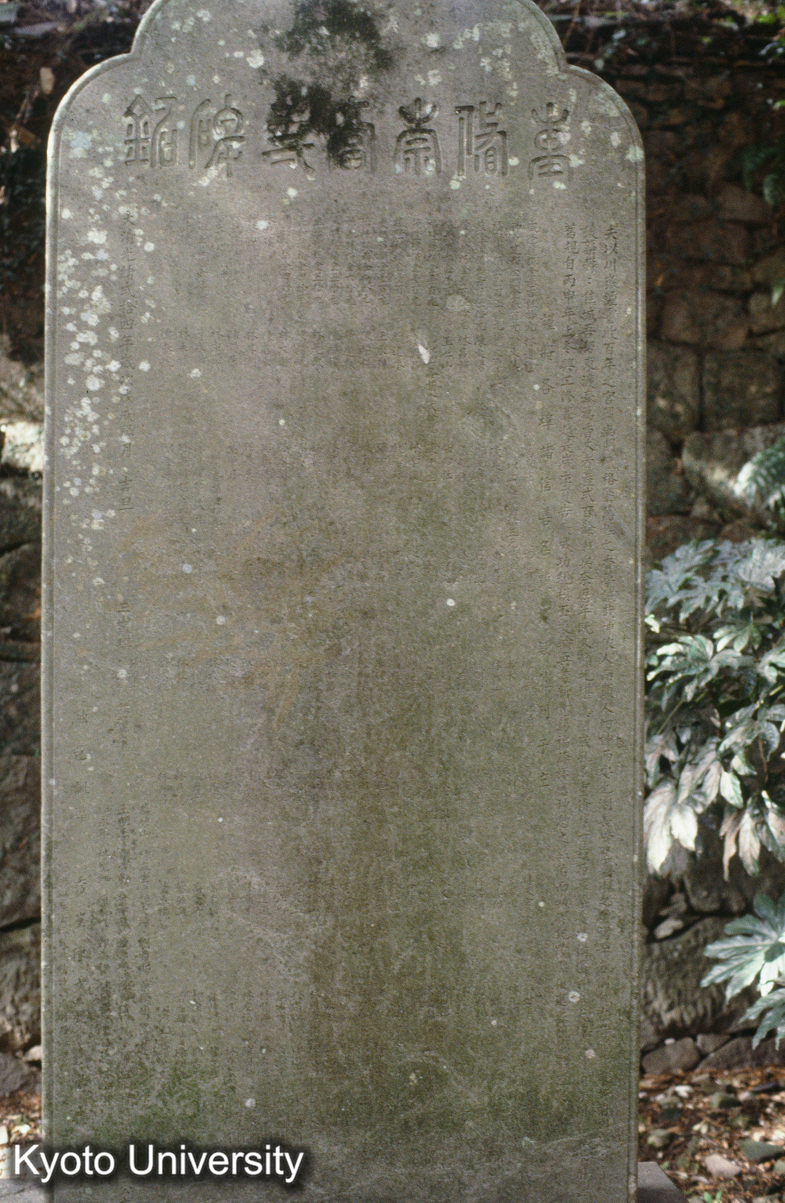 ［スライド］ (1)