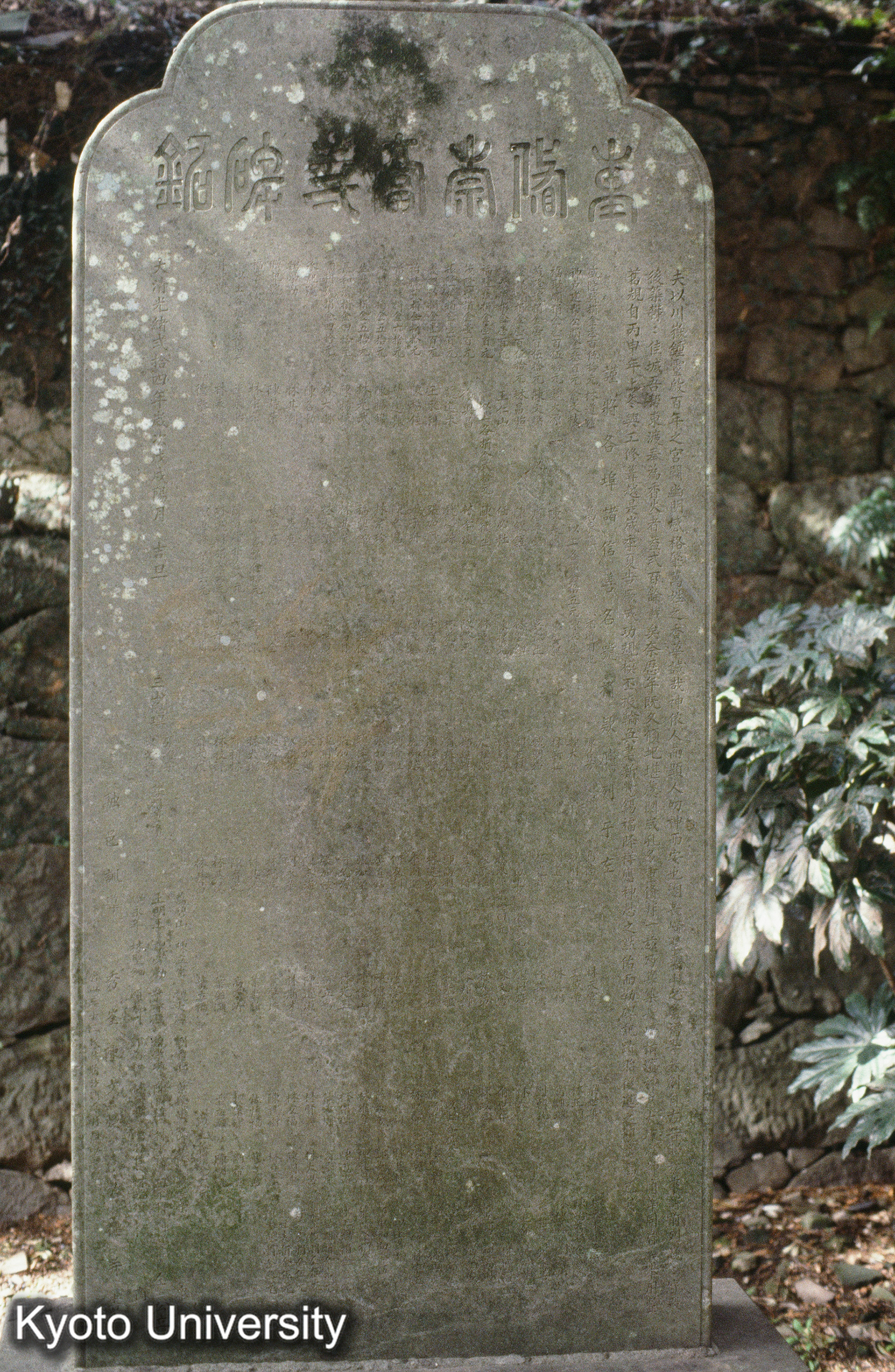 ［スライド］ (1)