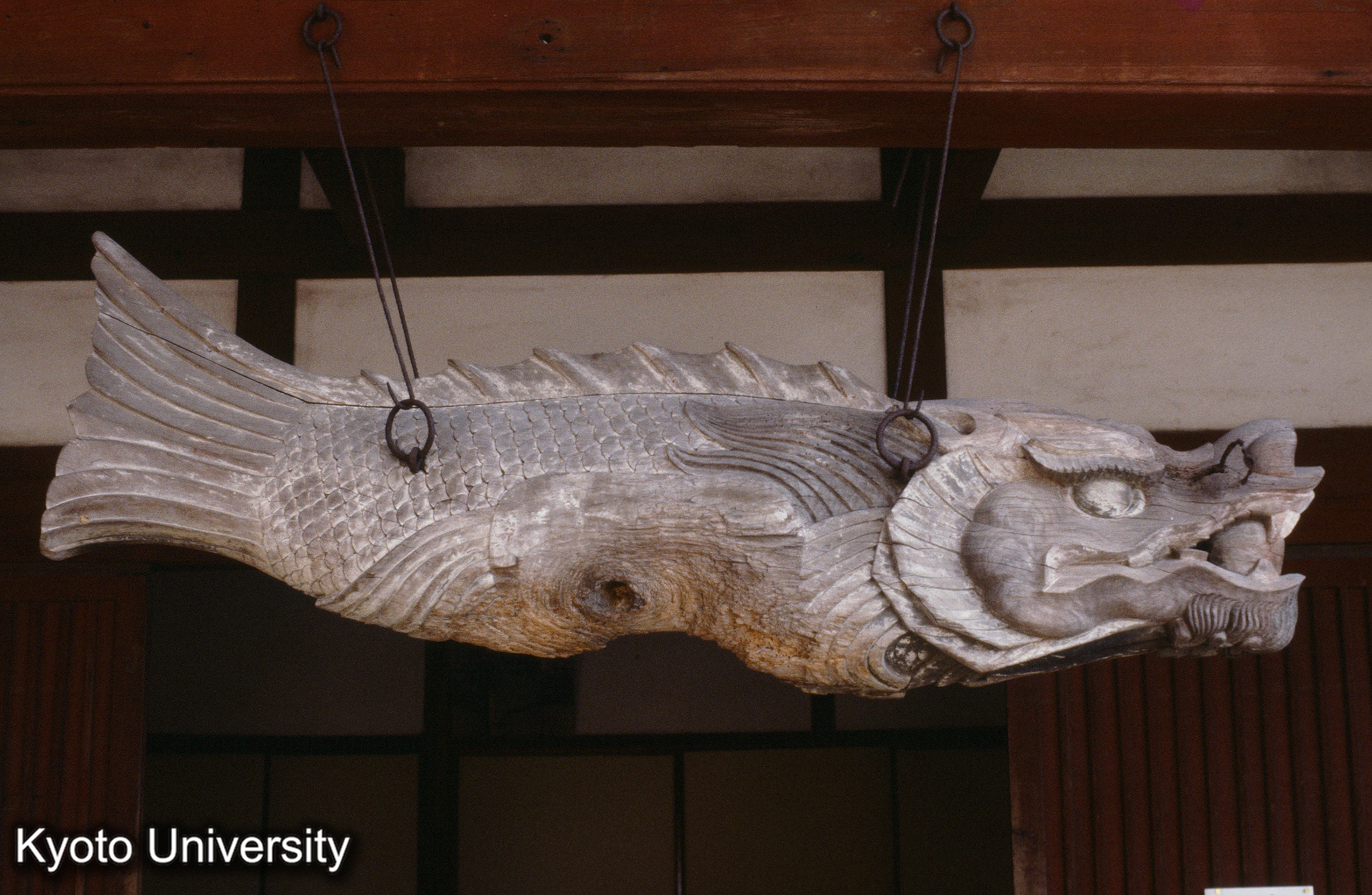 ［スライド］ (1)