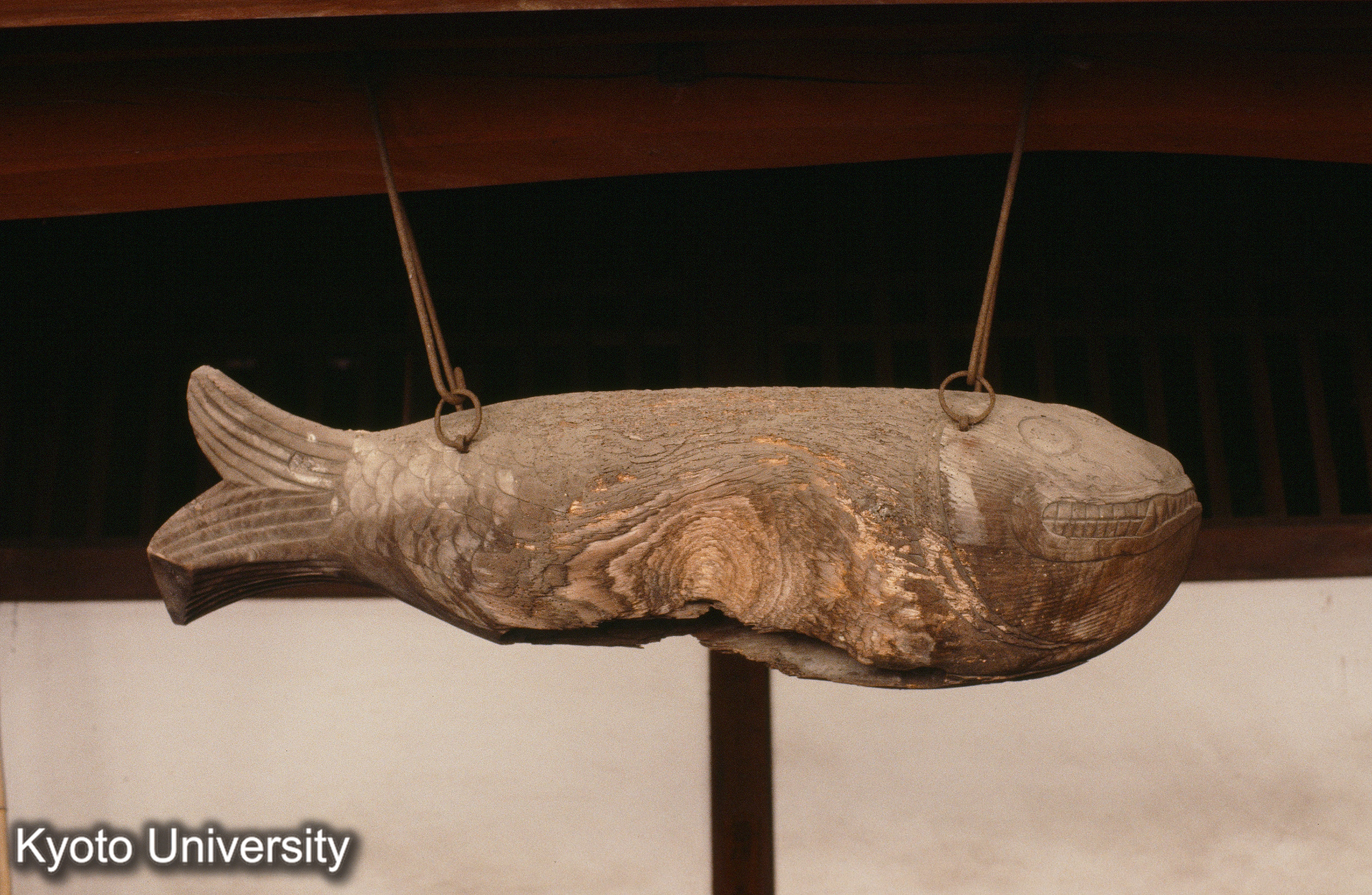 ［スライド］ (1)