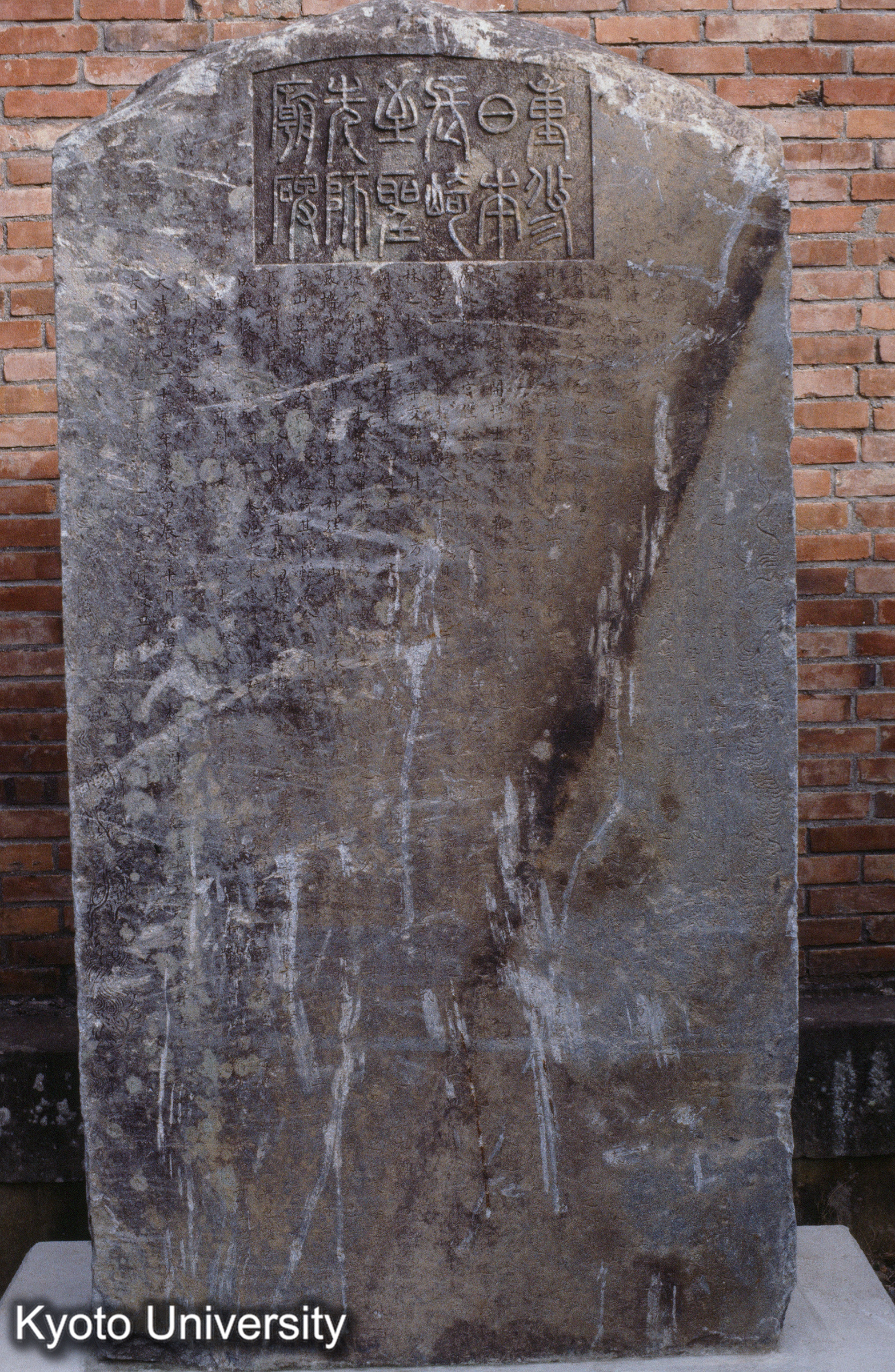 ［スライド］ (1)