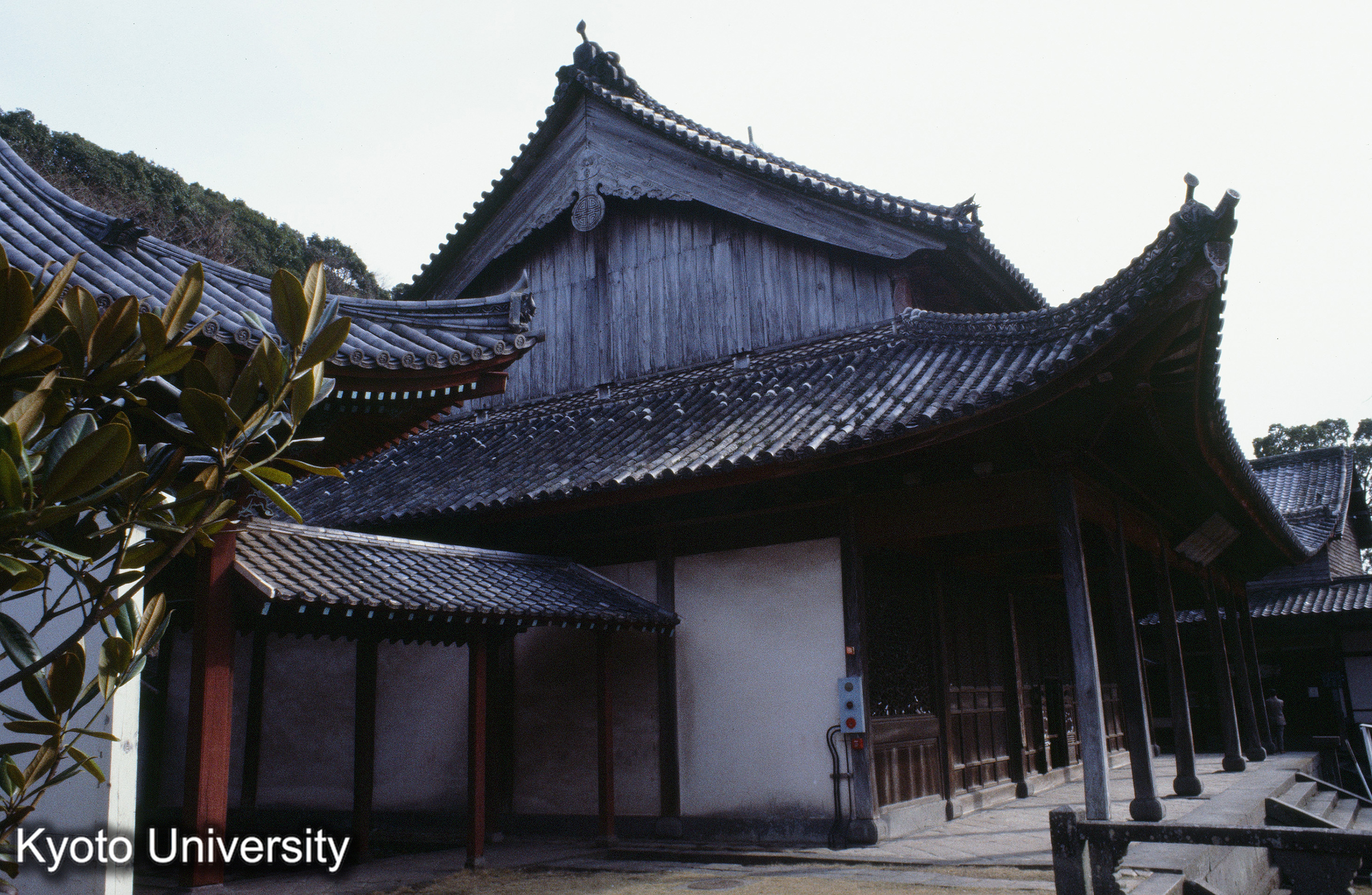 ［スライド］ (1)