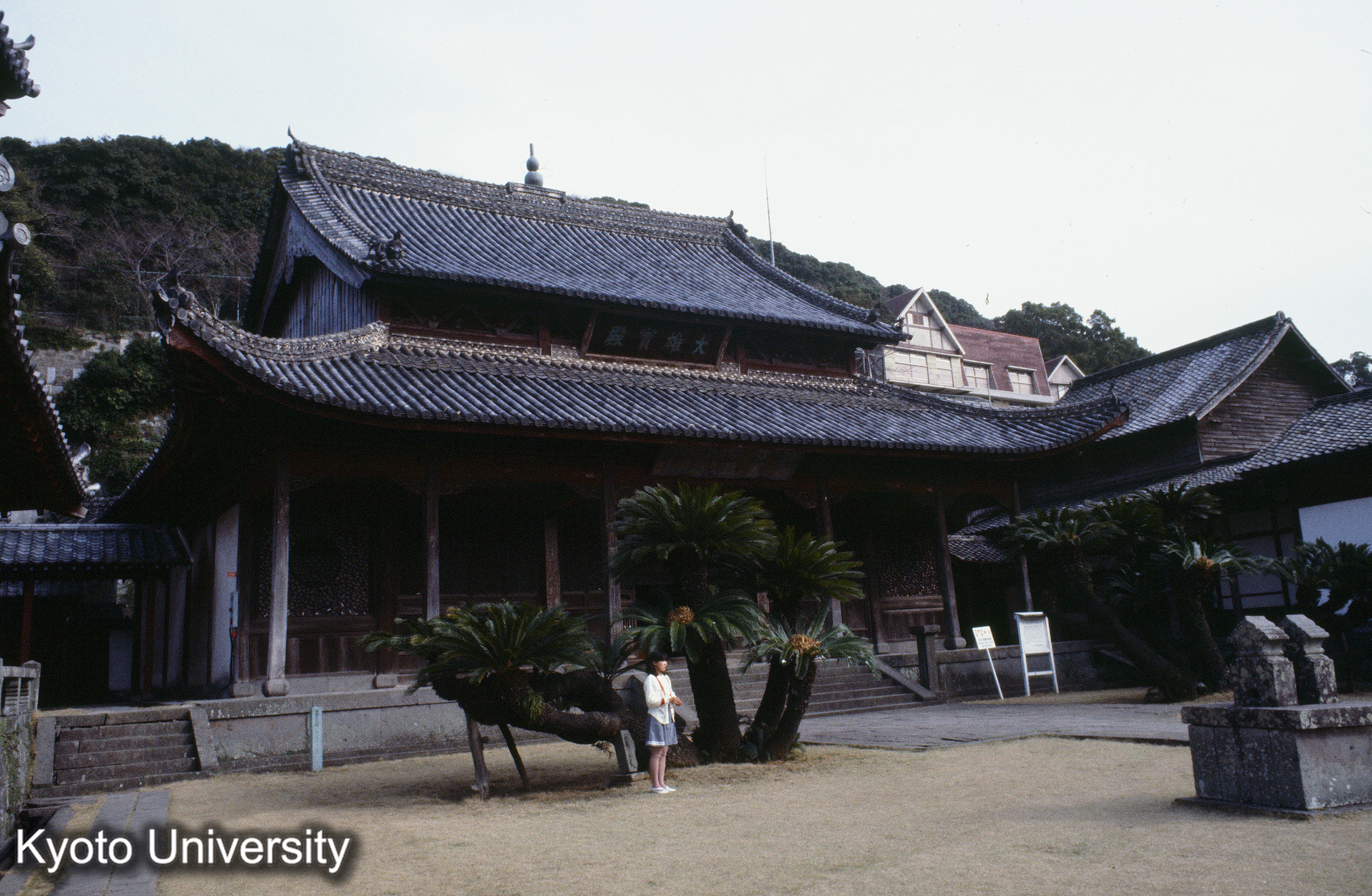 ［スライド］ (1)