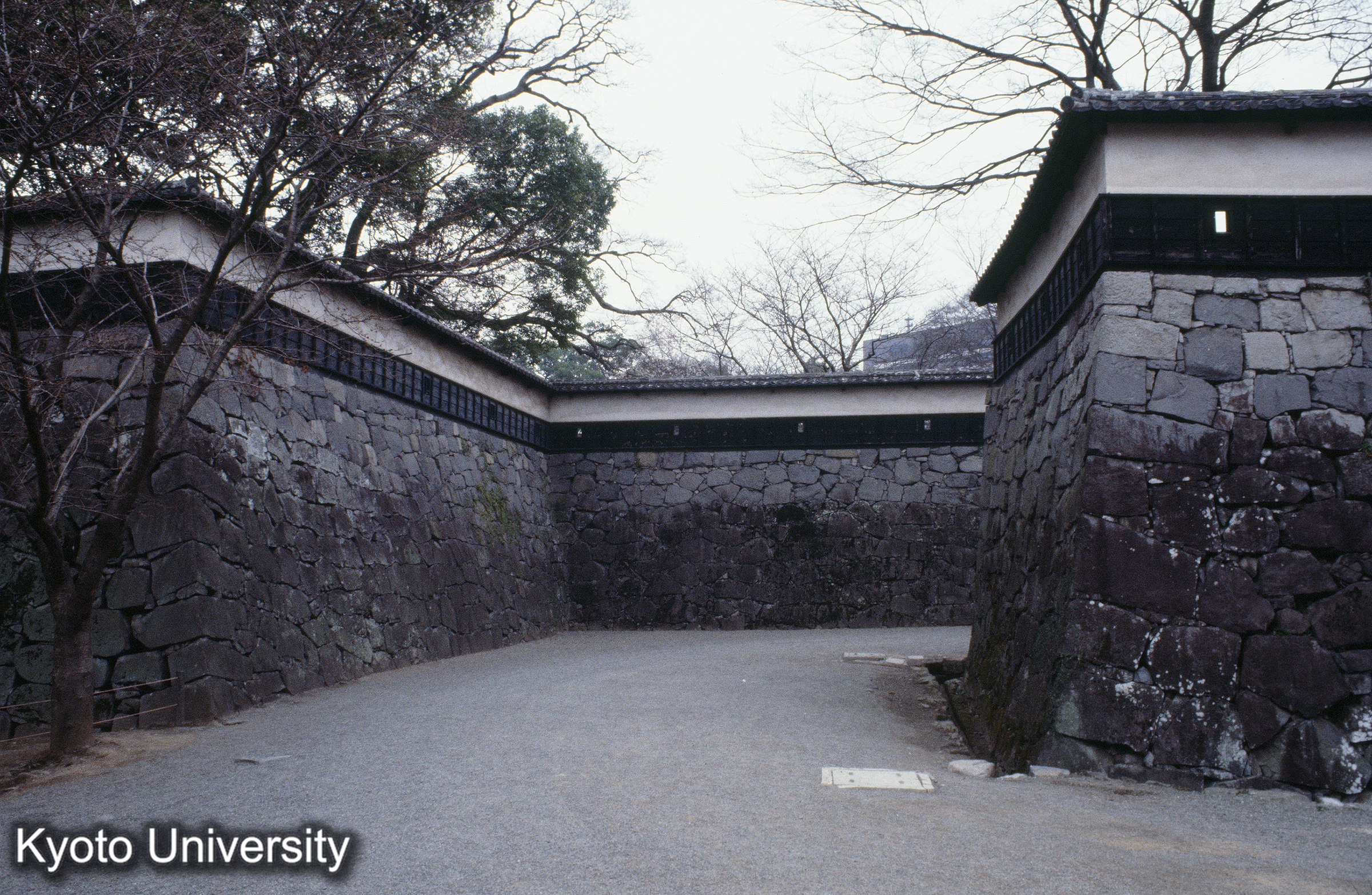 ［スライド］ (1)