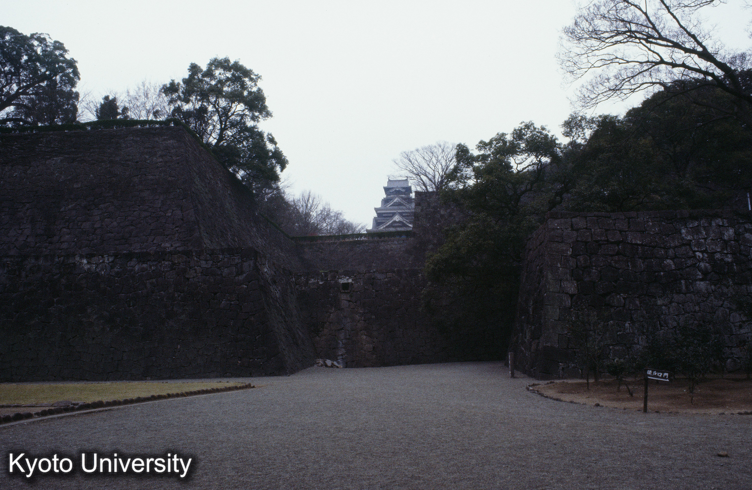 ［スライド］ (1)