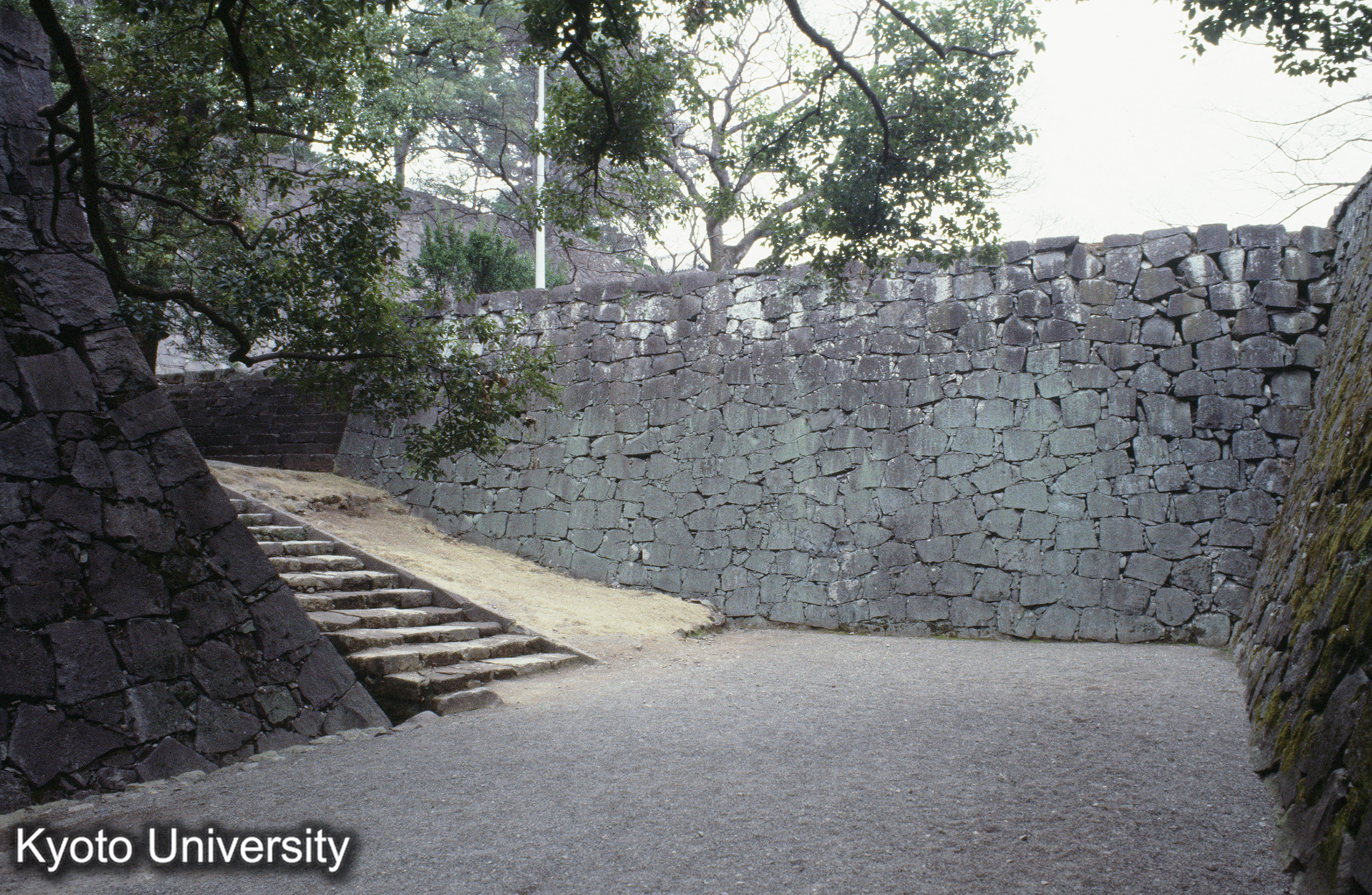 ［スライド］ (1)