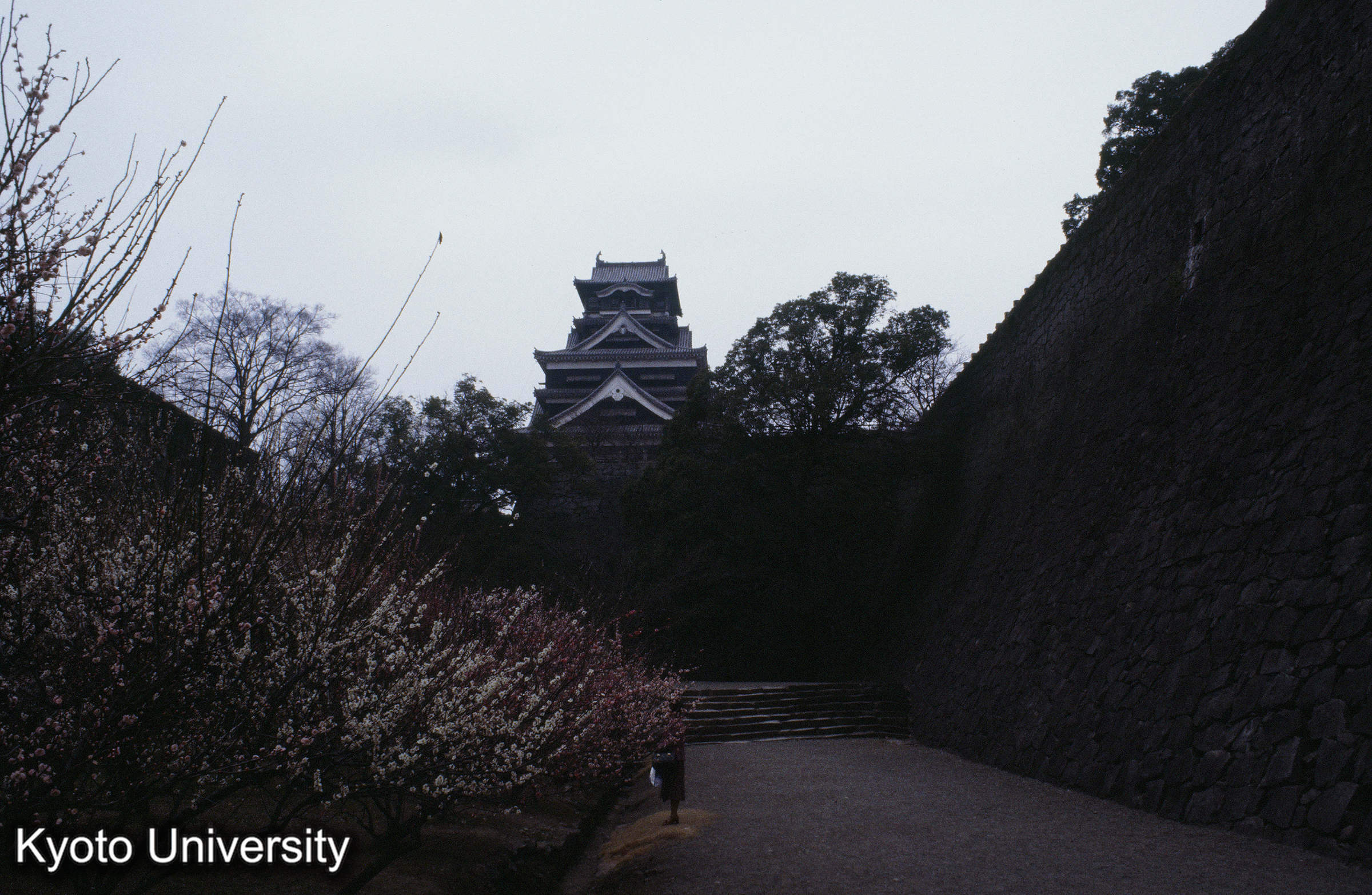 ［スライド］ (1)