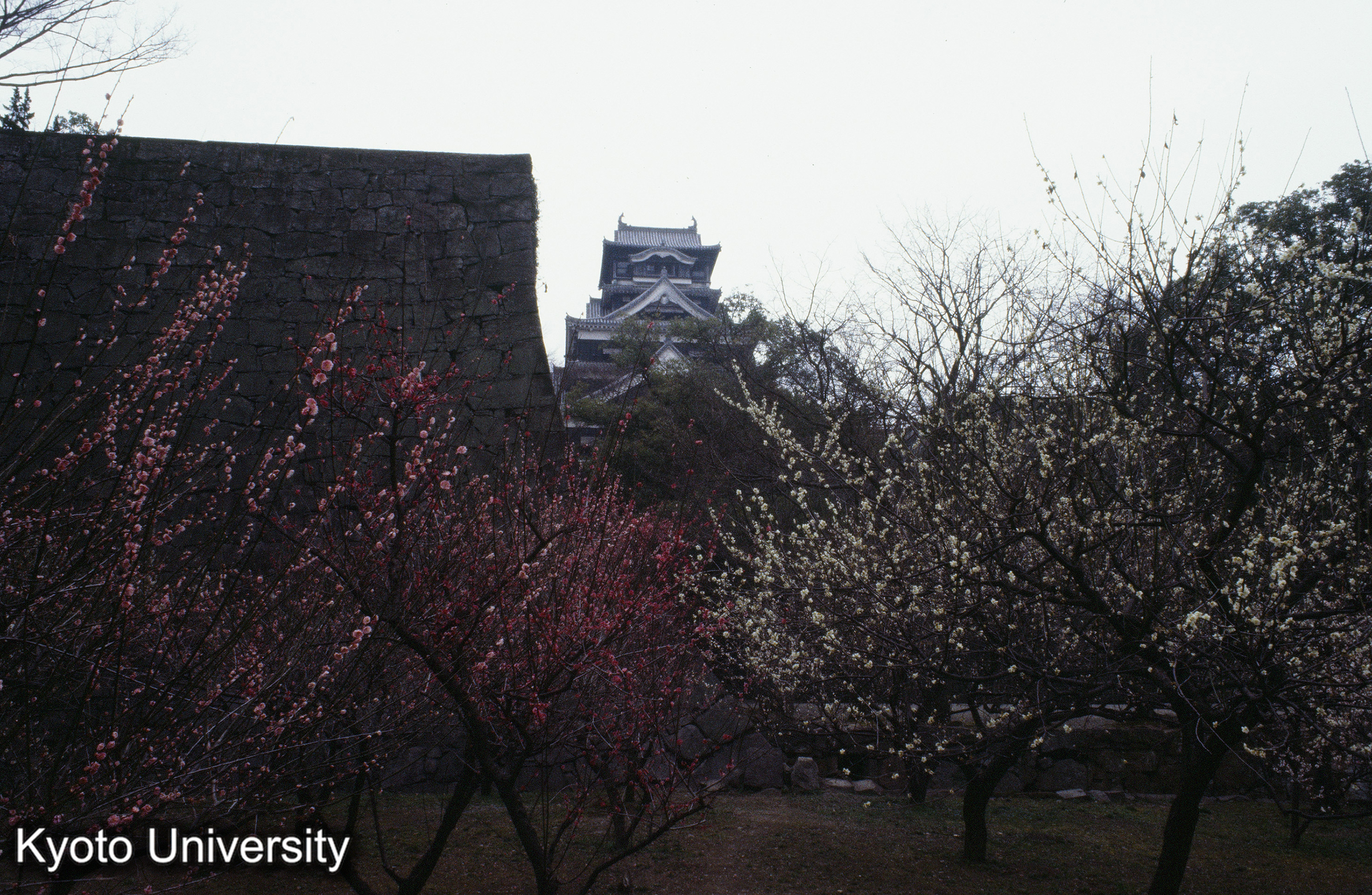 ［スライド］ (1)