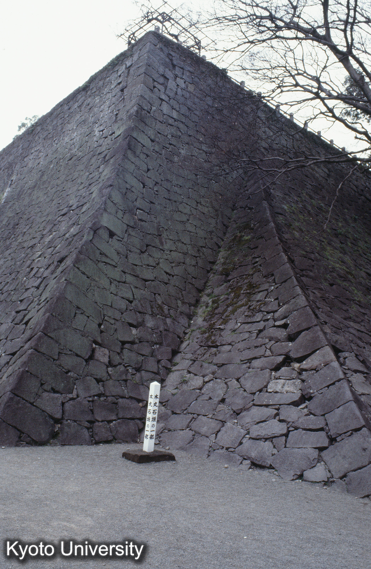 ［スライド］ (1)