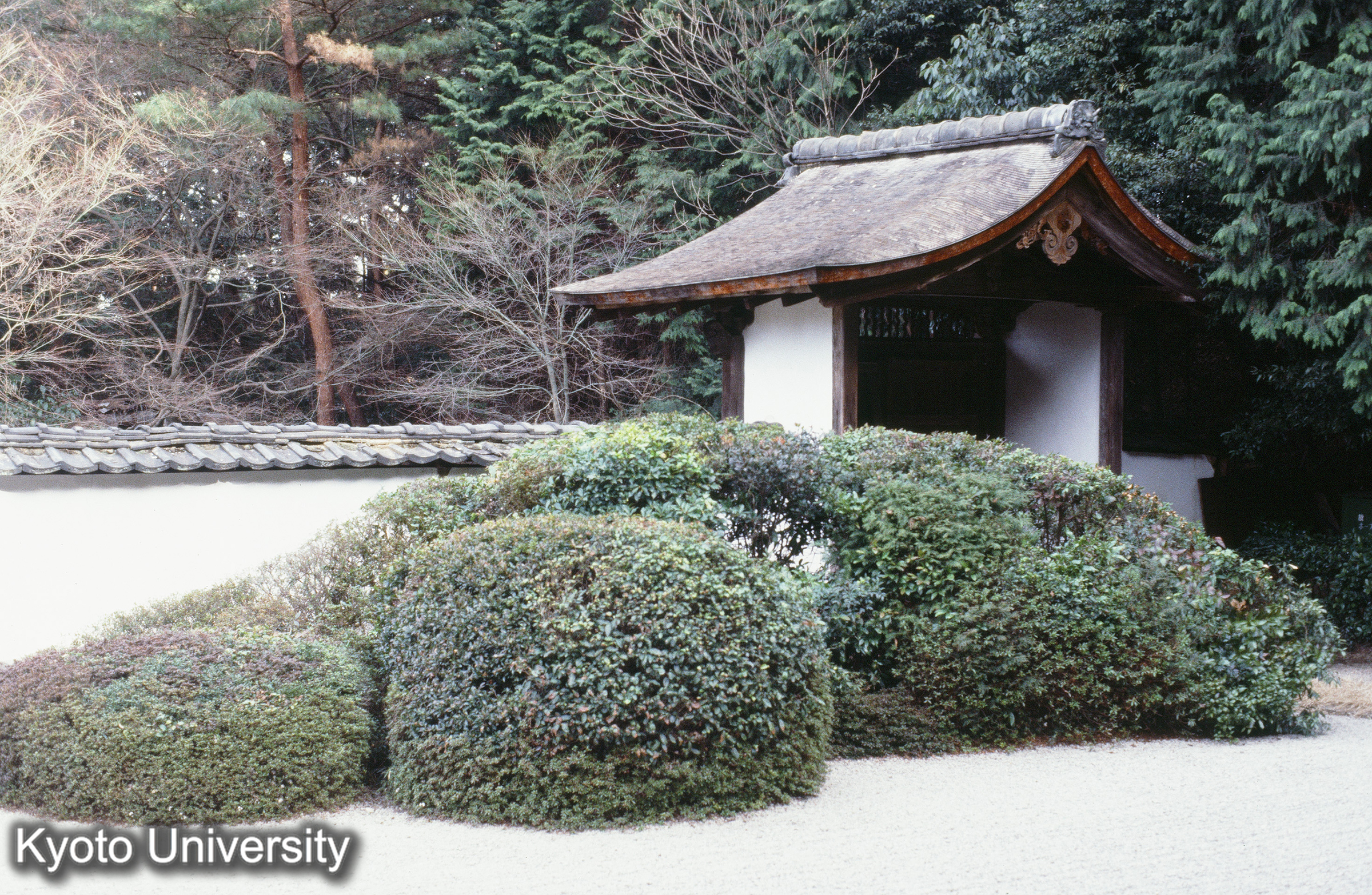 ［スライド］ (1)