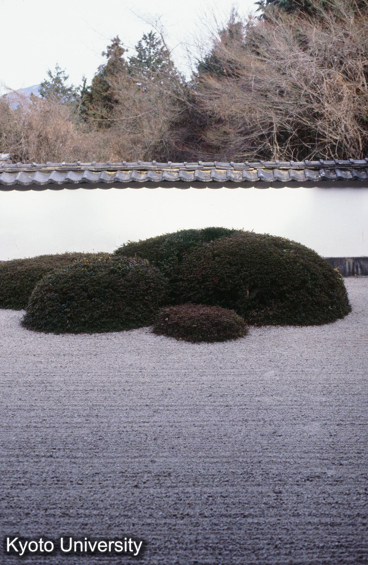 ［スライド］ (1)