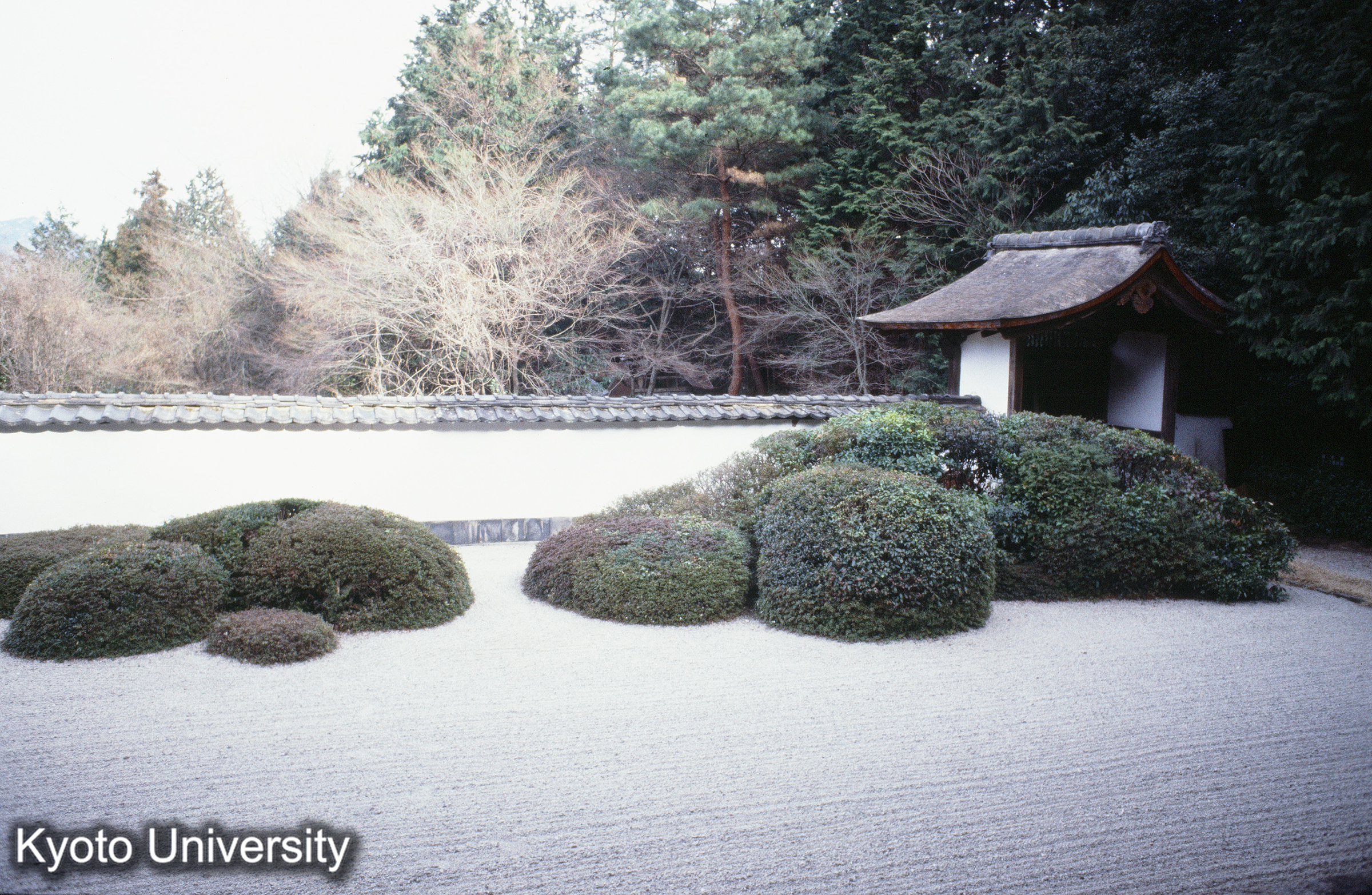 ［スライド］ (1)