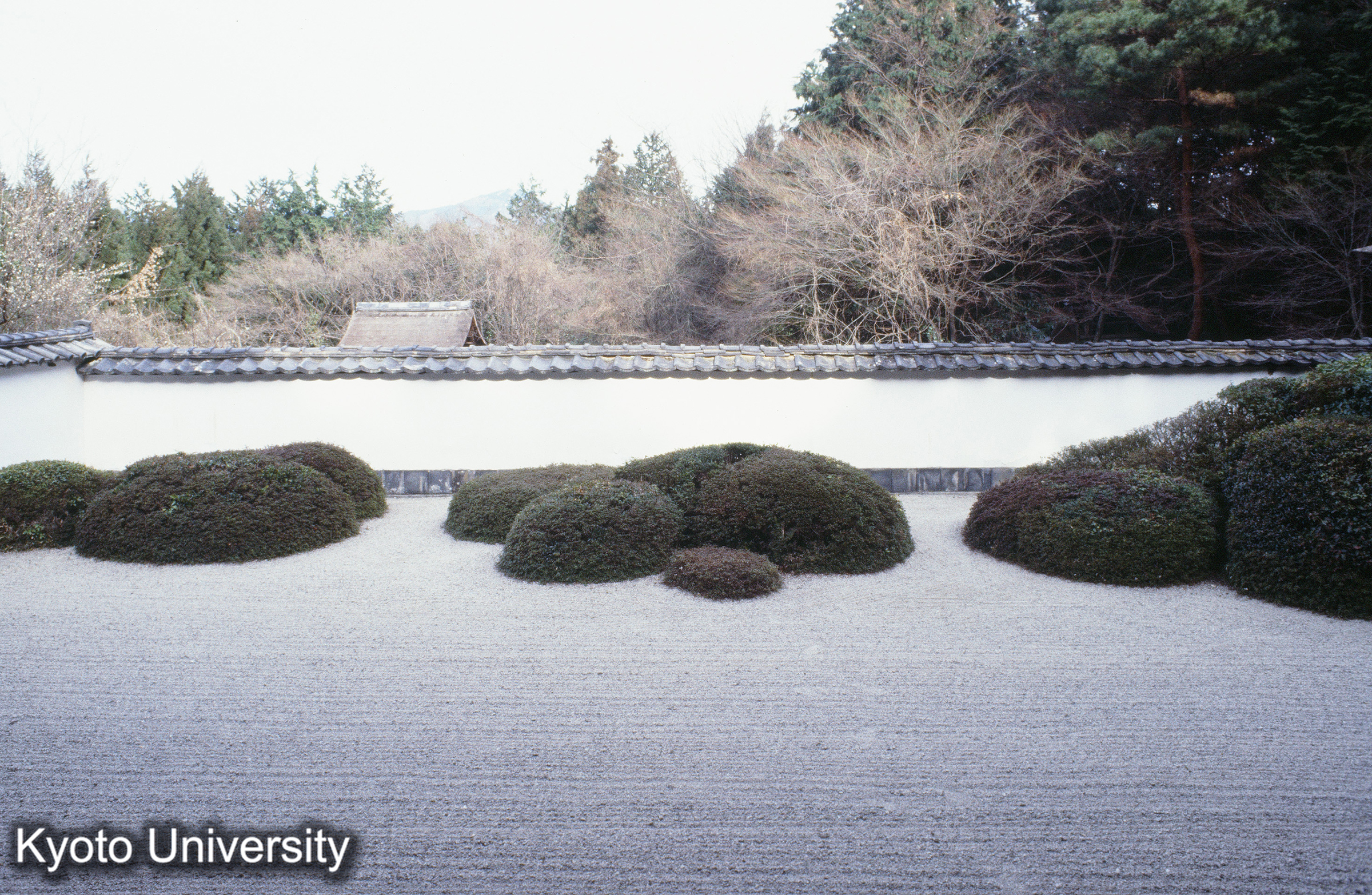 ［スライド］ (1)